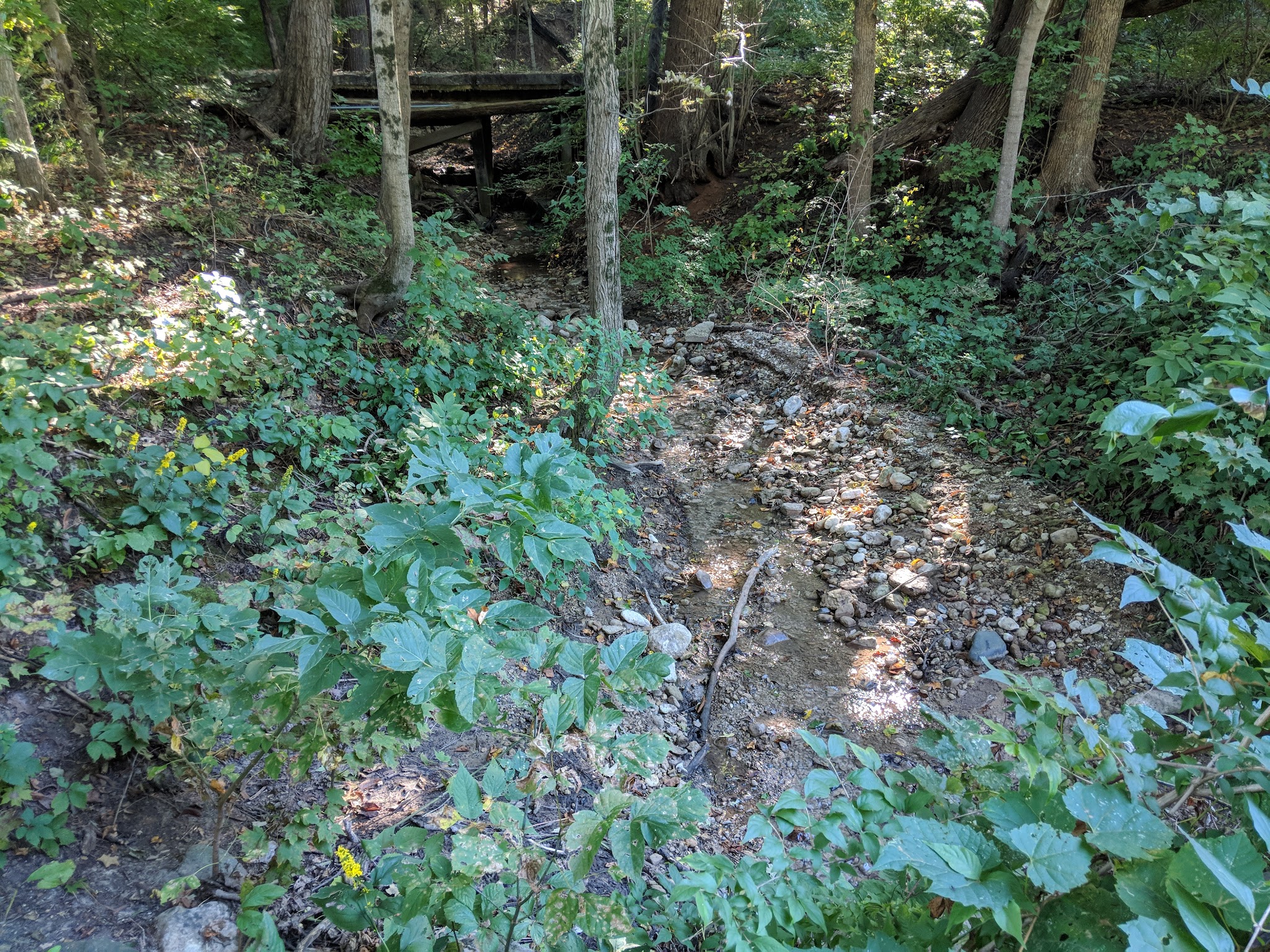 Buffalo Park Forest Preserve - Algonquin, IL