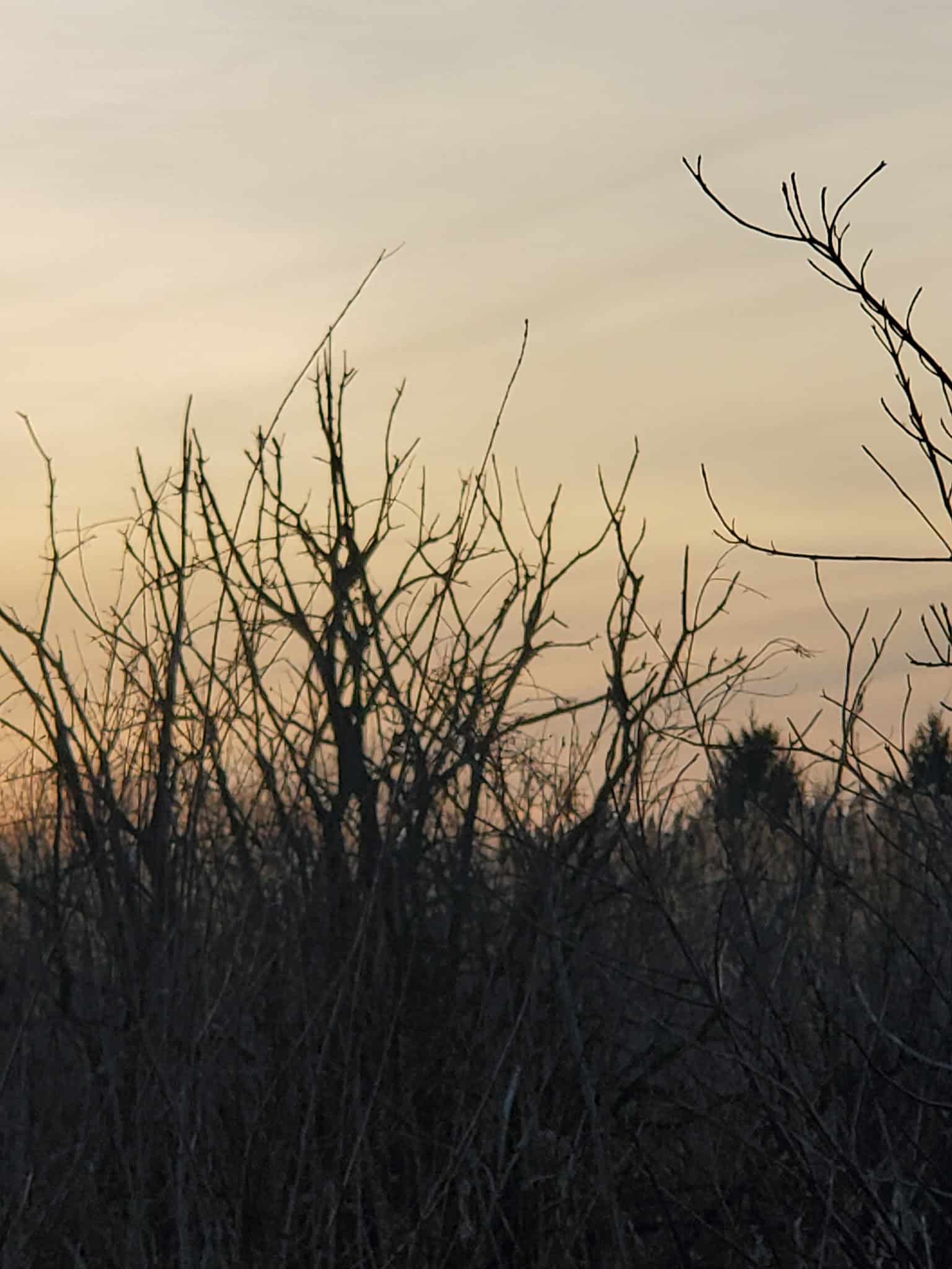 High Hill Park and Nature Preserve - Algonquin, IL