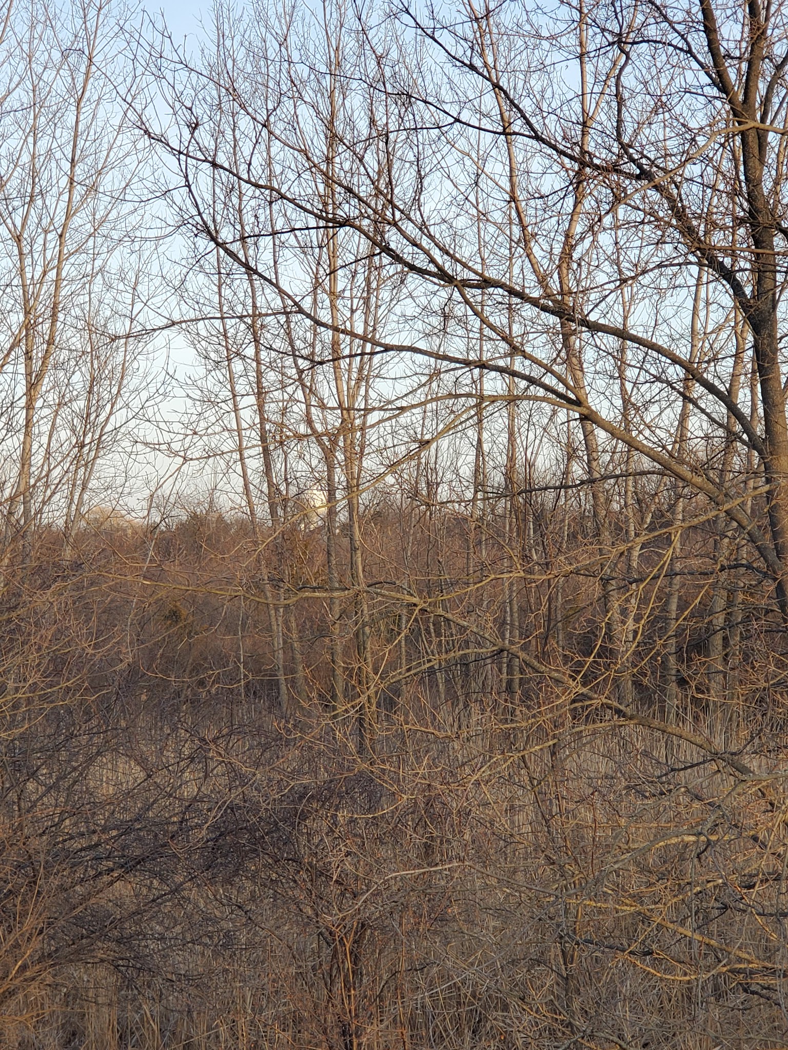 High Hill Park and Nature Preserve - Algonquin, IL