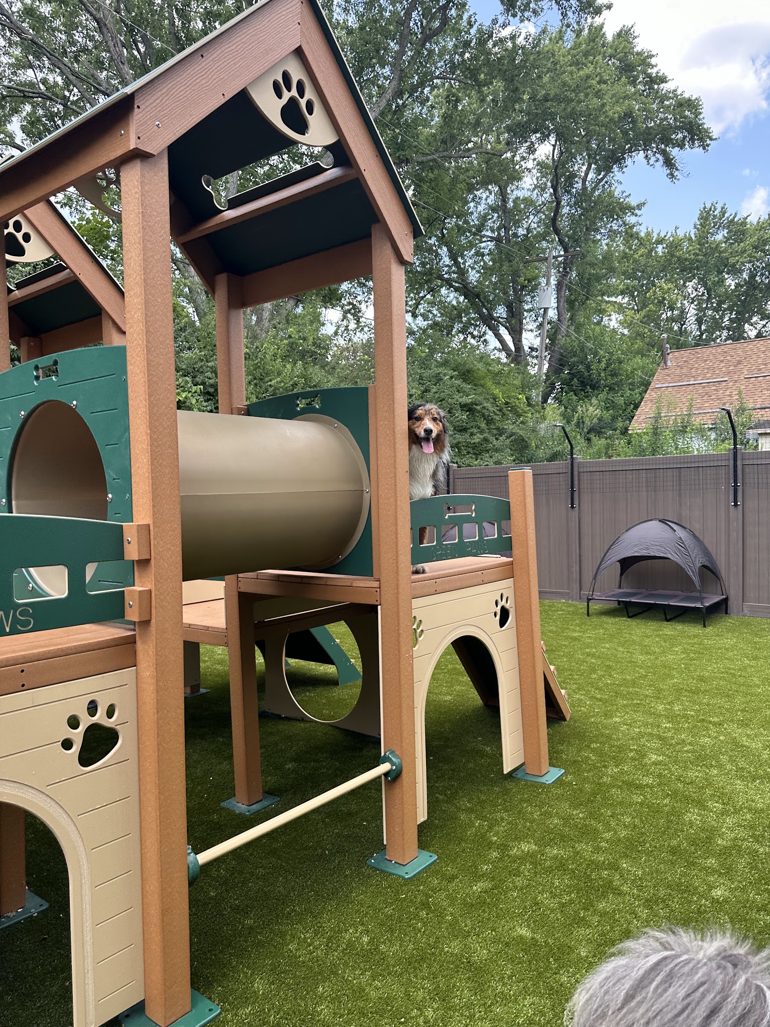 The Dog Waggin' - Algonquin, IL