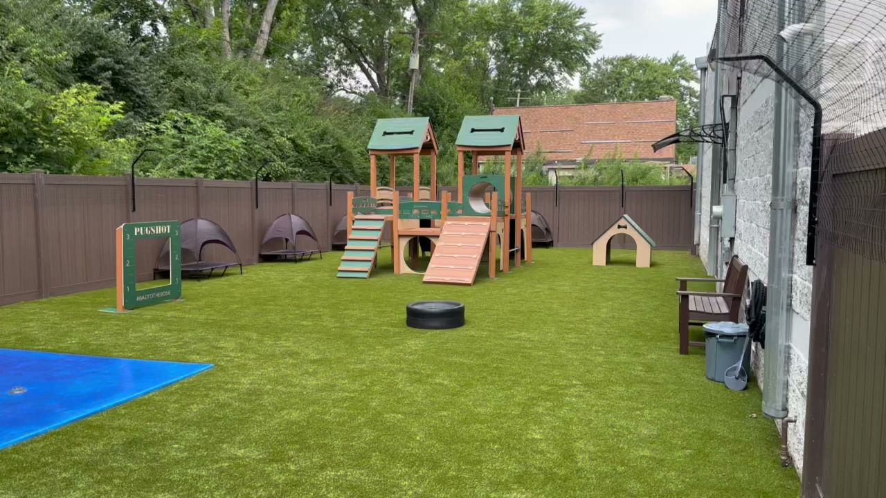 The Dog Waggin' - Algonquin, IL