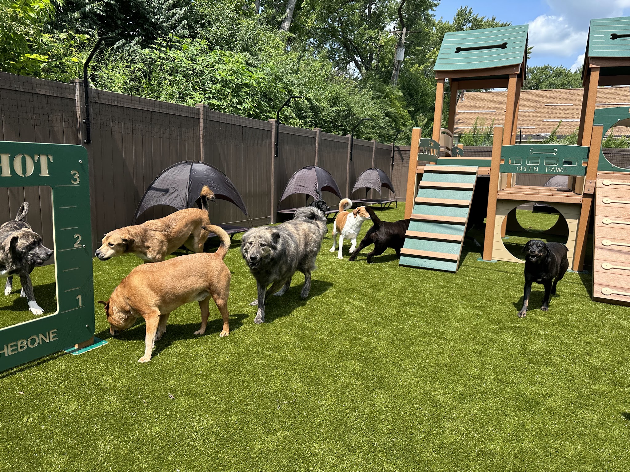 The Dog Waggin' - Algonquin, IL