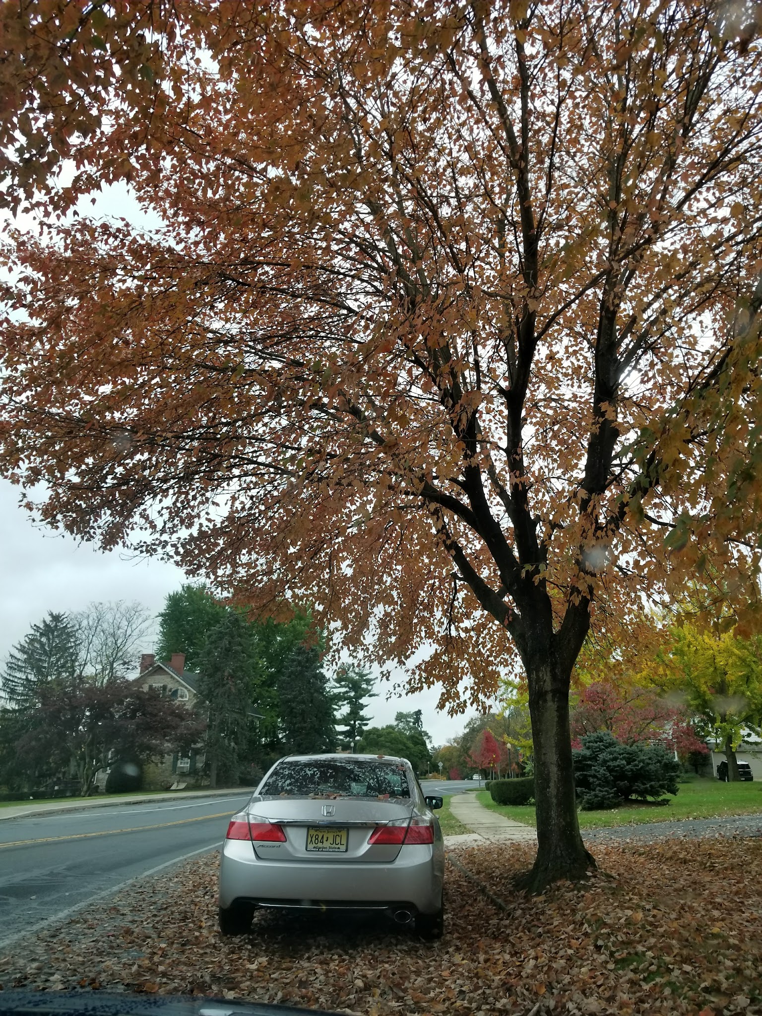 Allentown Parks - Allentown, PA