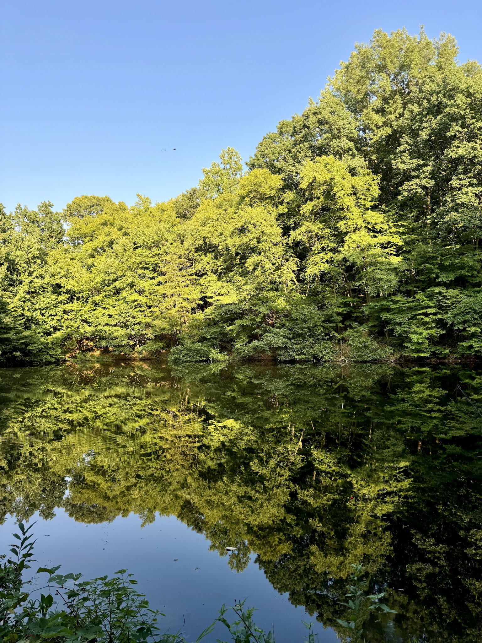 Allentown Reservoir Park - Allentown, PA