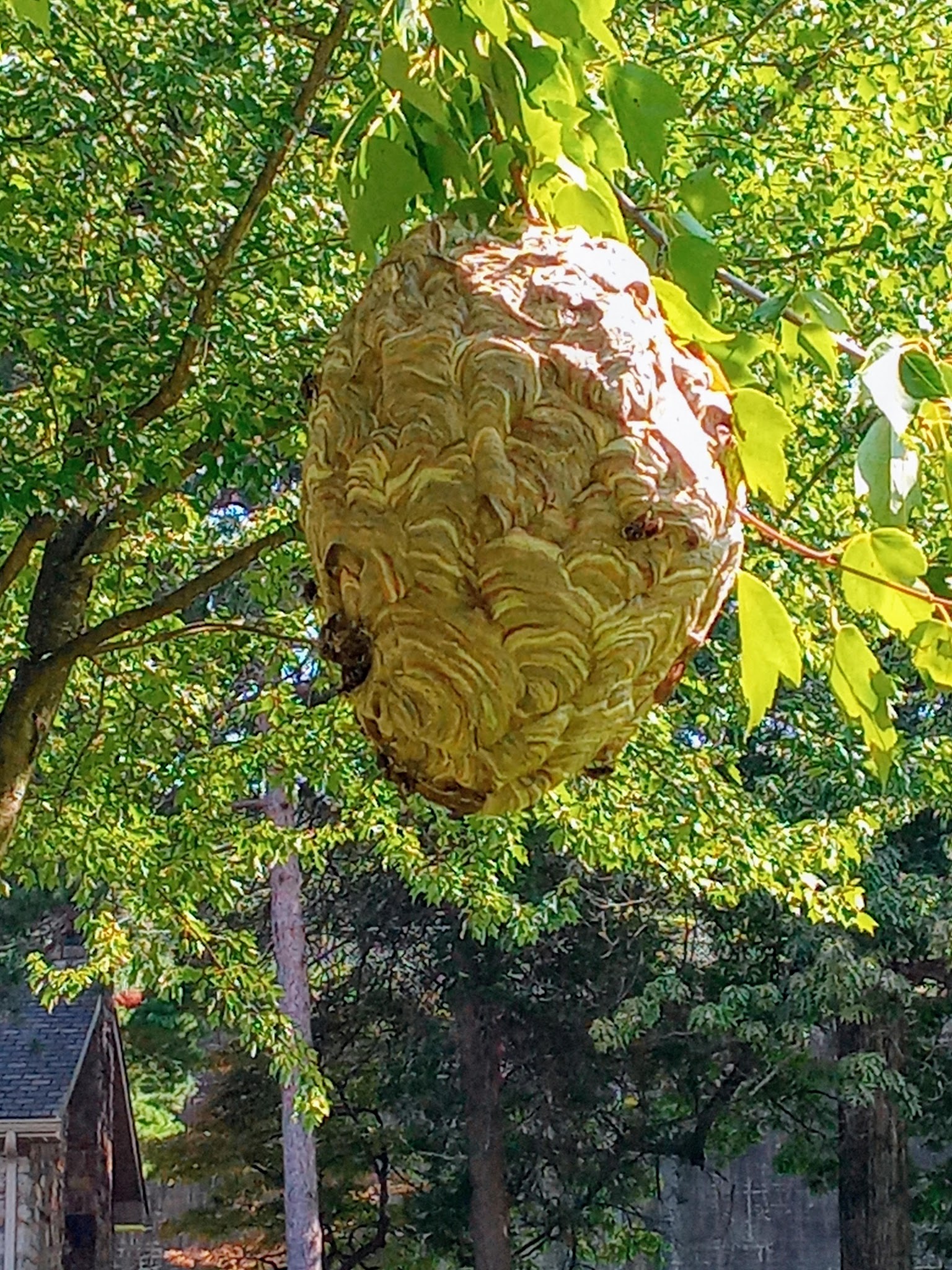 Allentown Reservoir Park - Allentown, PA