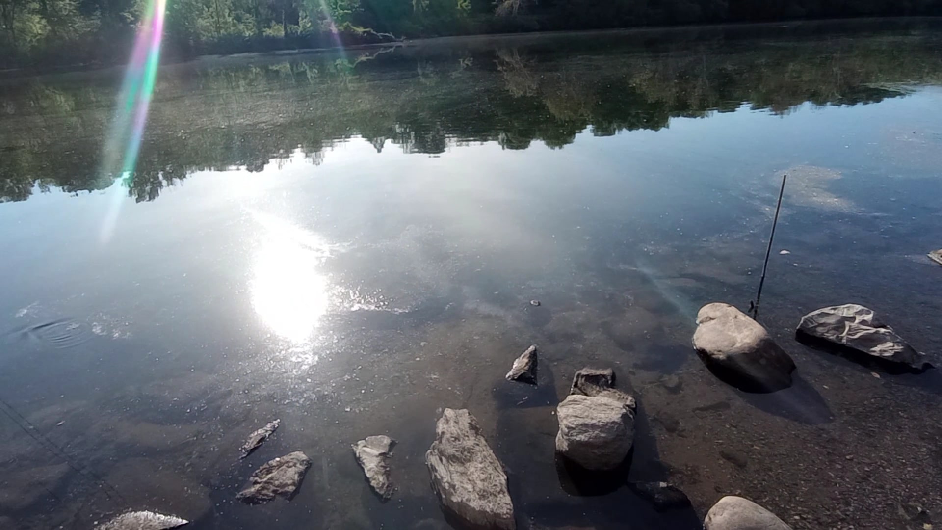 Bucky Boyle Park - Allentown, PA