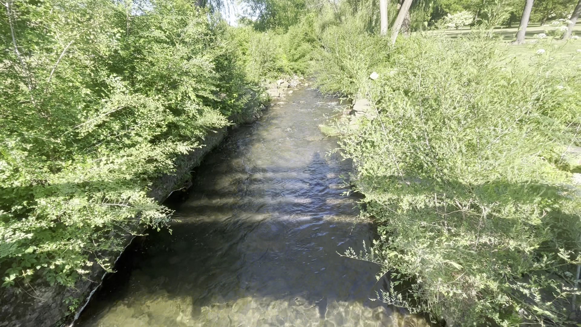 Cedar Creek Park - Allentown, PA