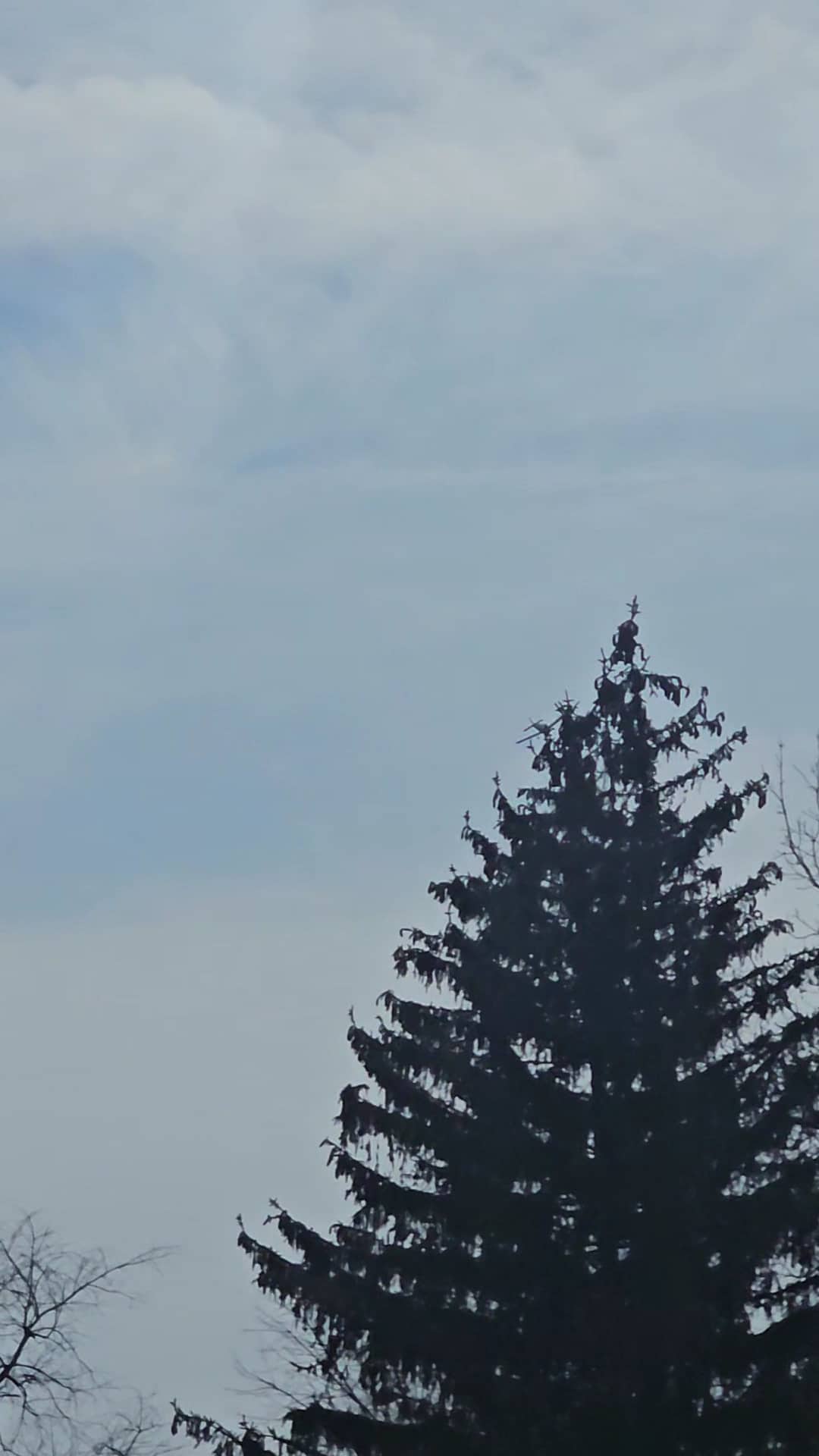 Frank McCullough Sr. Park (formerly Green Acres Park) - Allentown, PA