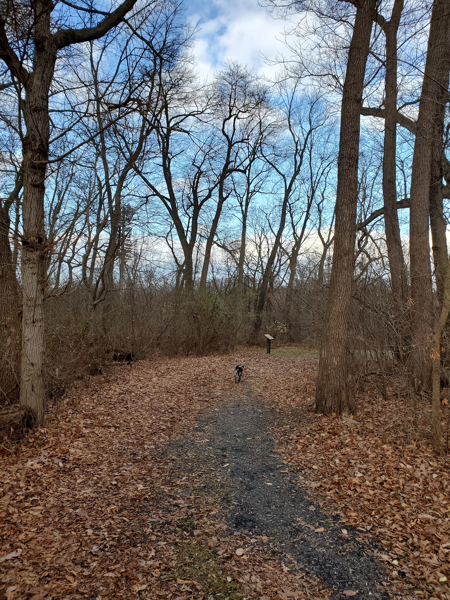 Franko Park - Allentown, PA