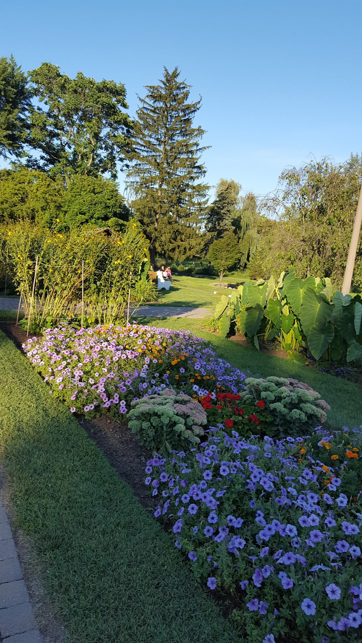 Friends of the Allentown Parks - Allentown, PA
