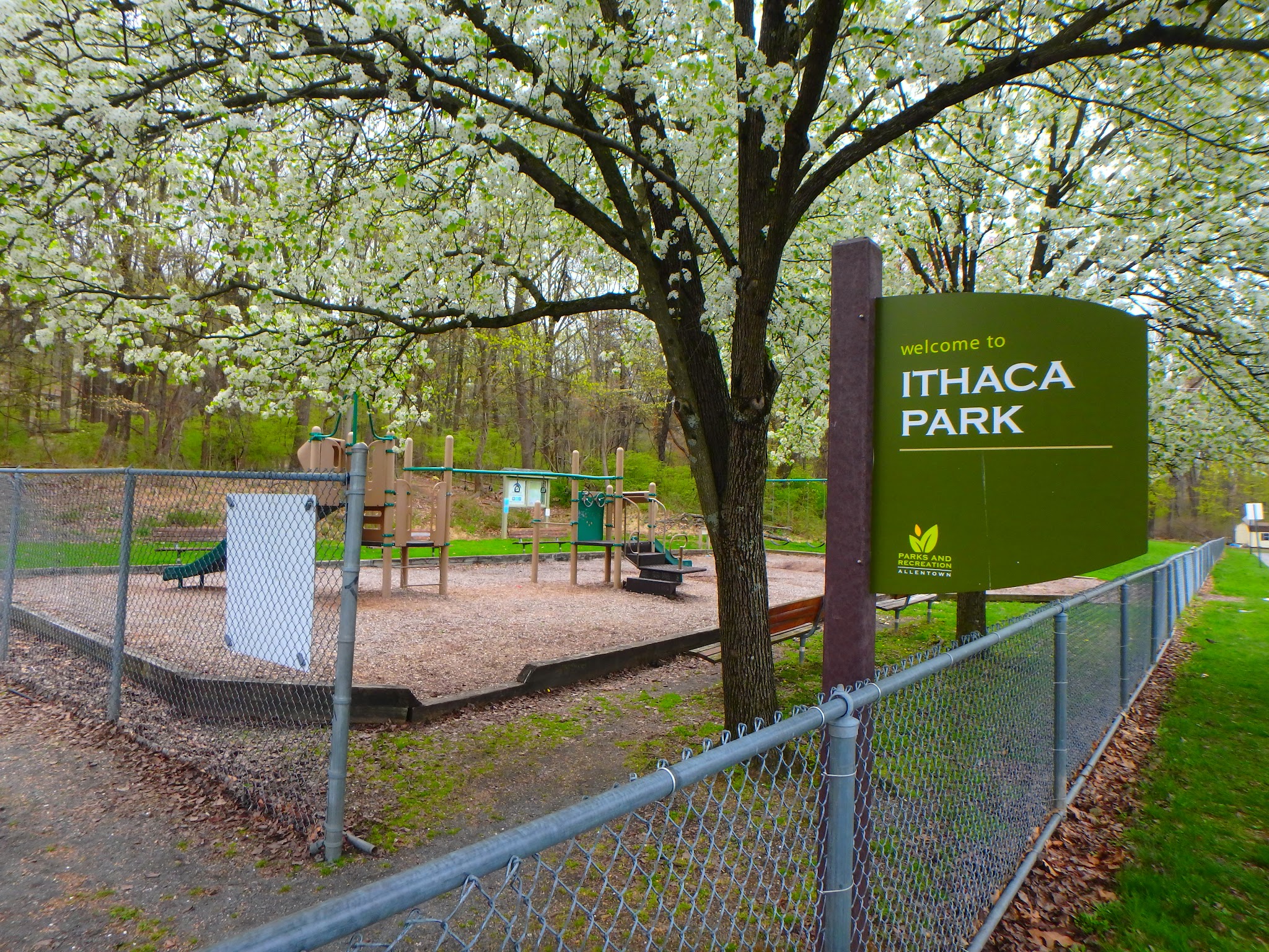 Ithaca Park & Wilderness Trail - Allentown, PA