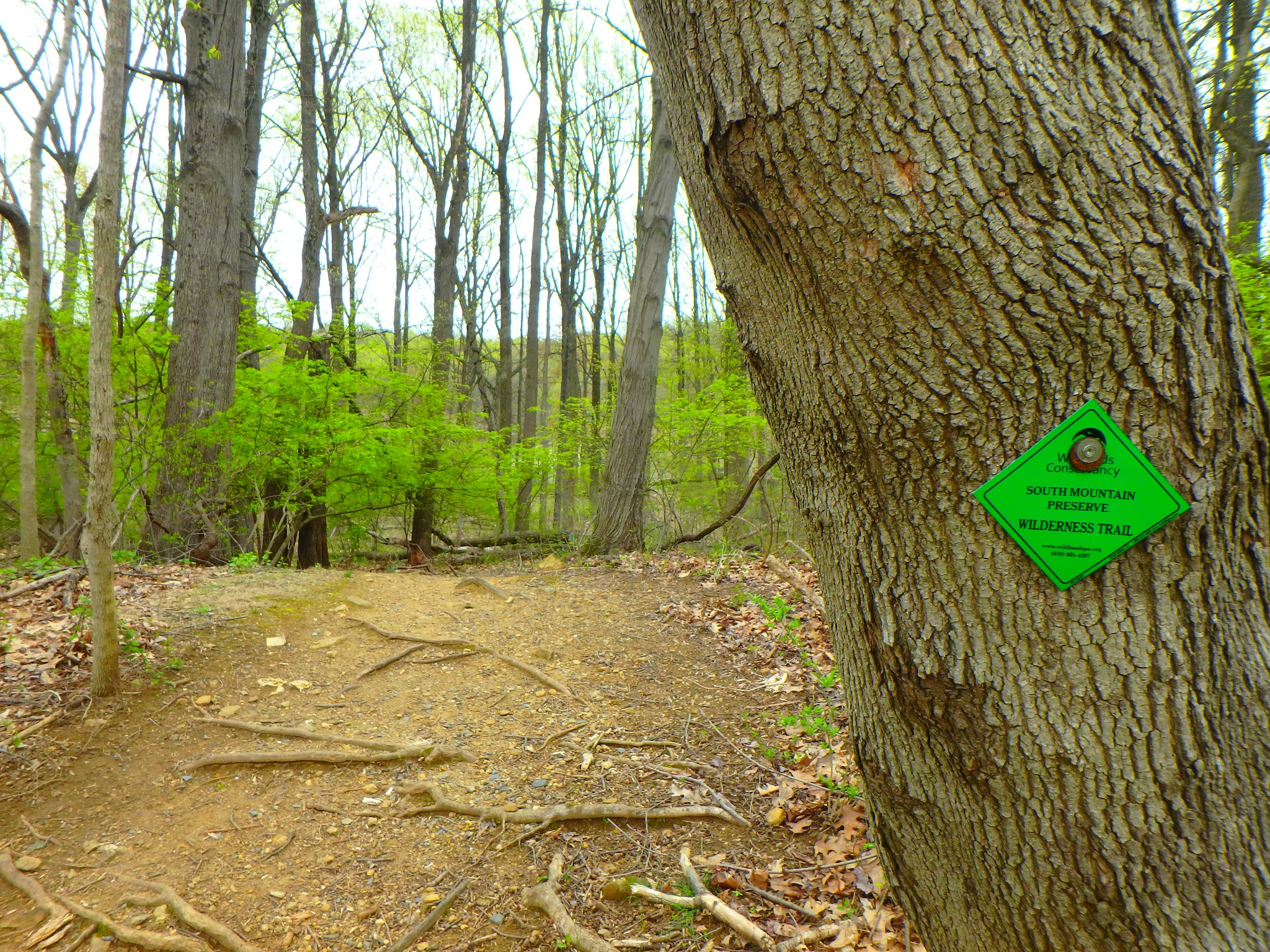 Ithaca Park & Wilderness Trail - Allentown, PA