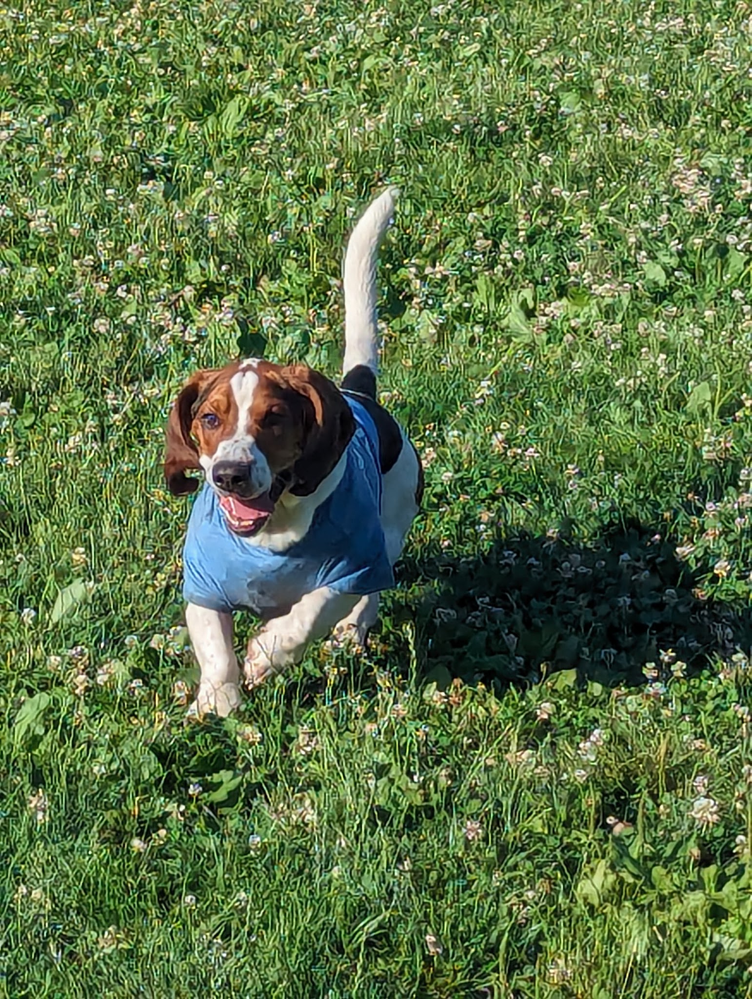 Lehigh County Sports Fields - Allentown, PA
