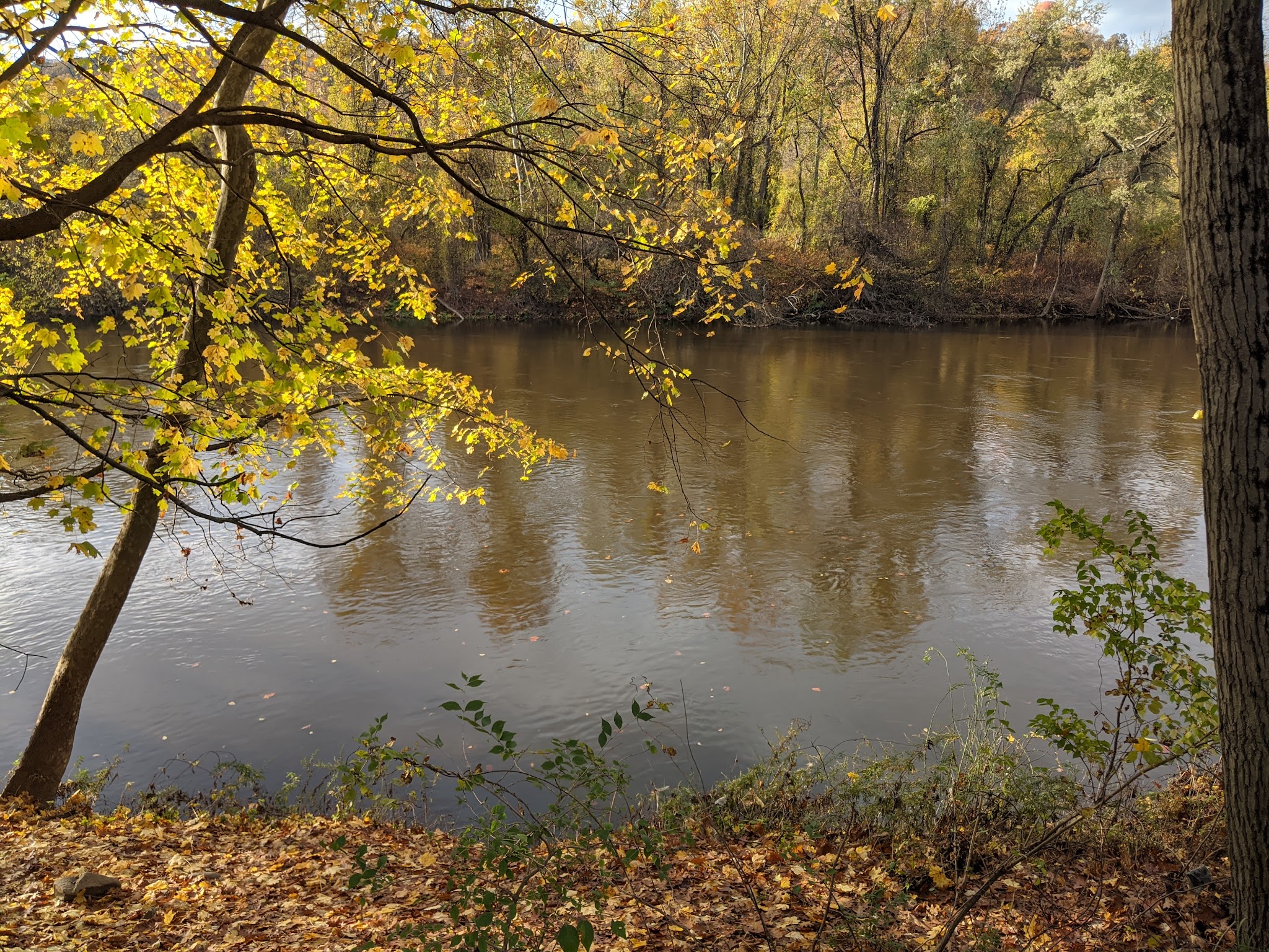 Lehigh Mountain Park - Allentown, PA