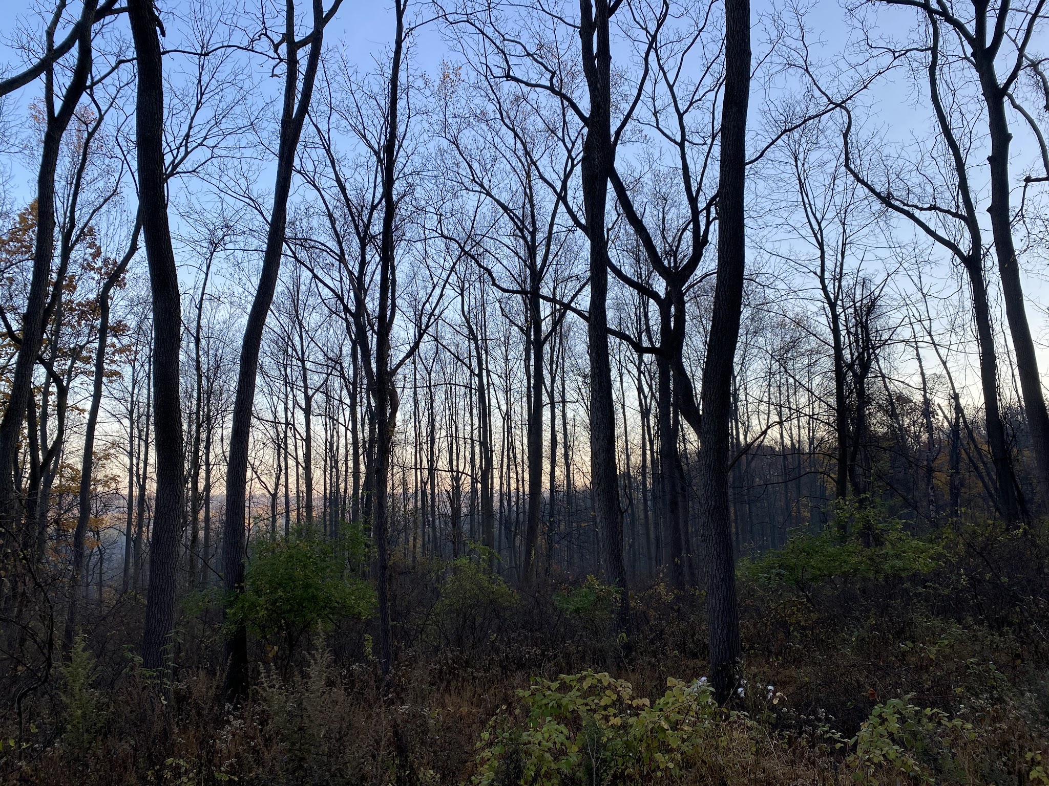 Lehigh Mountain Park - Allentown, PA