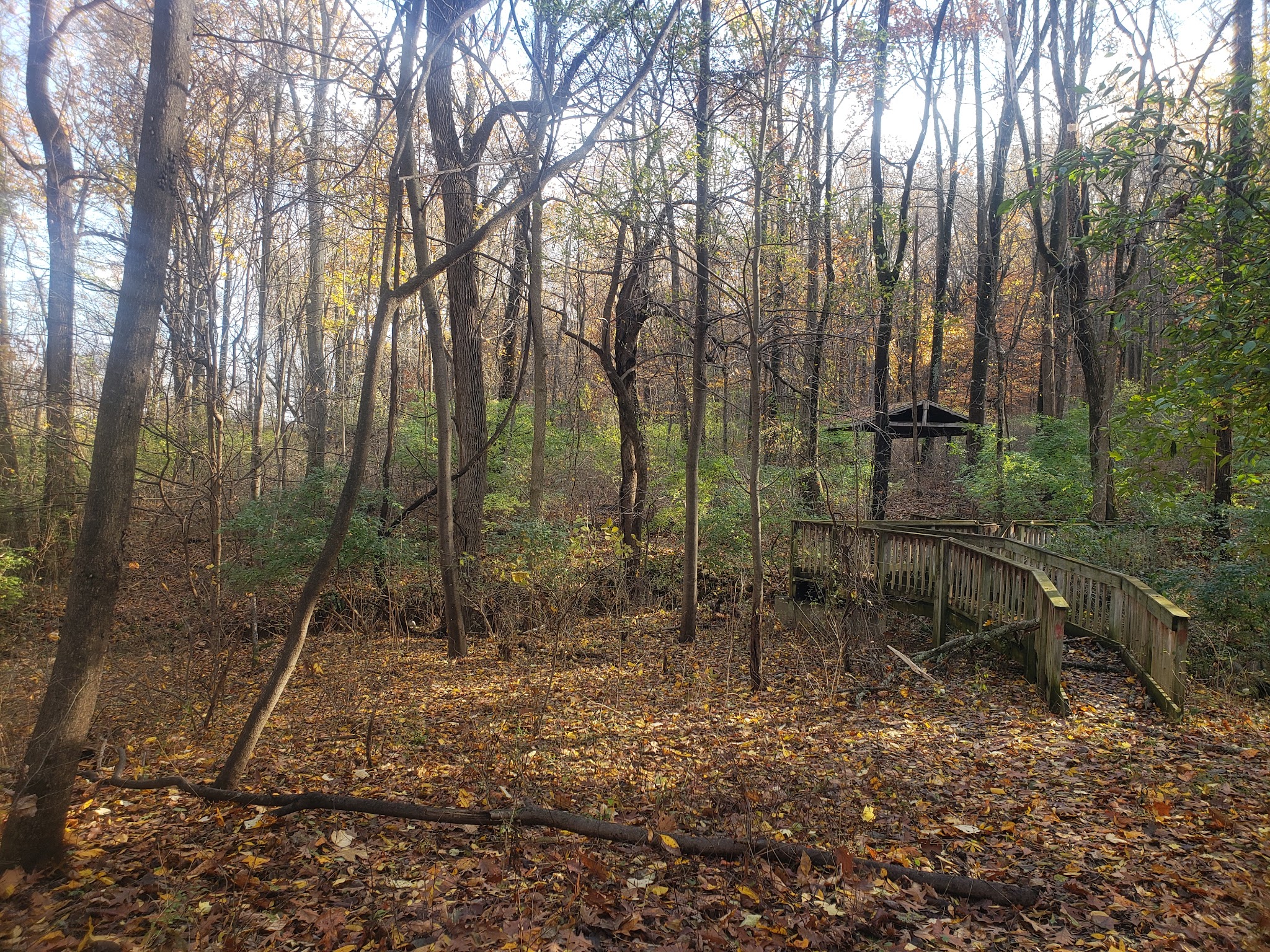 Lehigh Mountain Park - Allentown, PA