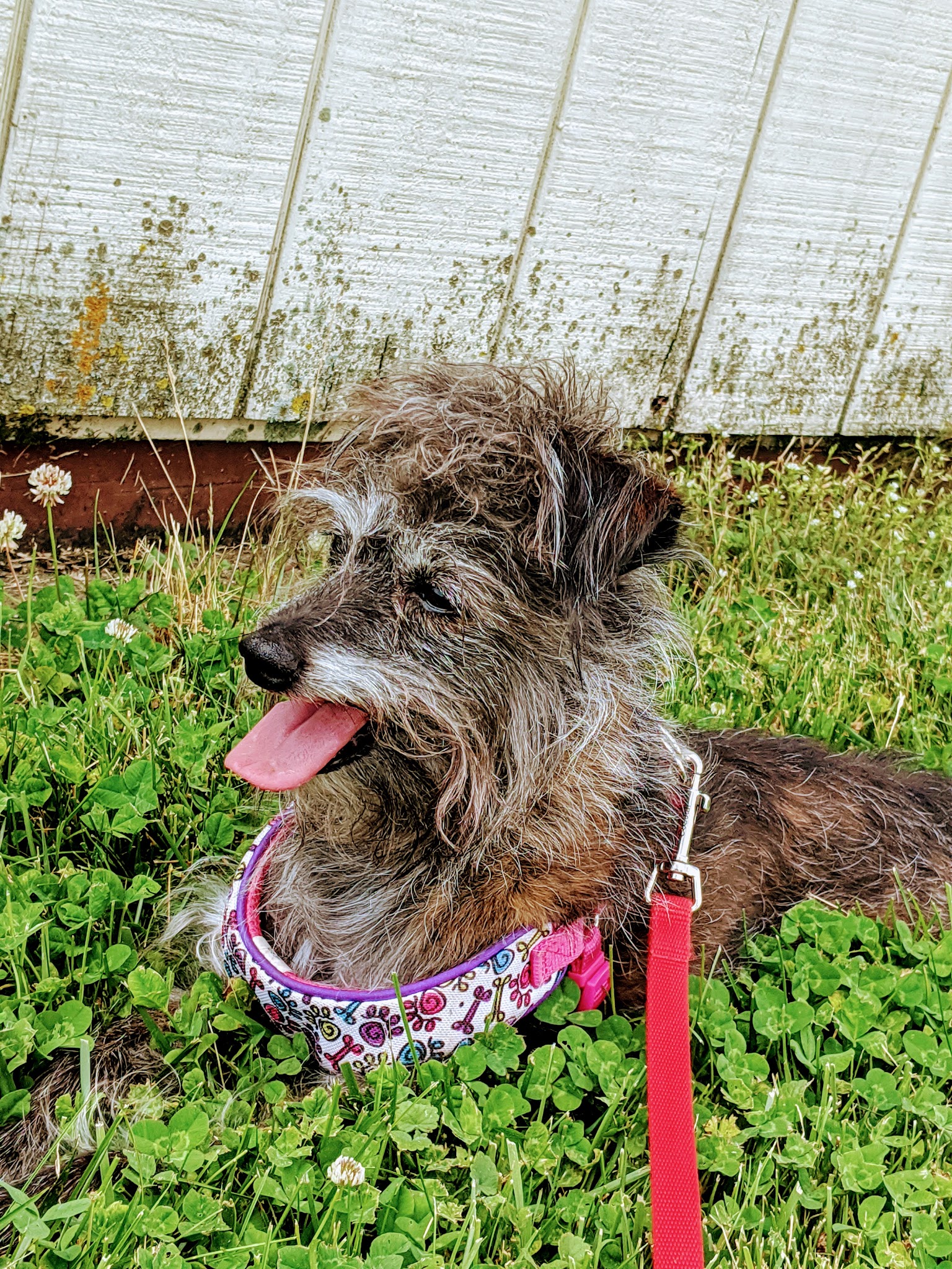 Levans Recreational Park - Allentown, PA