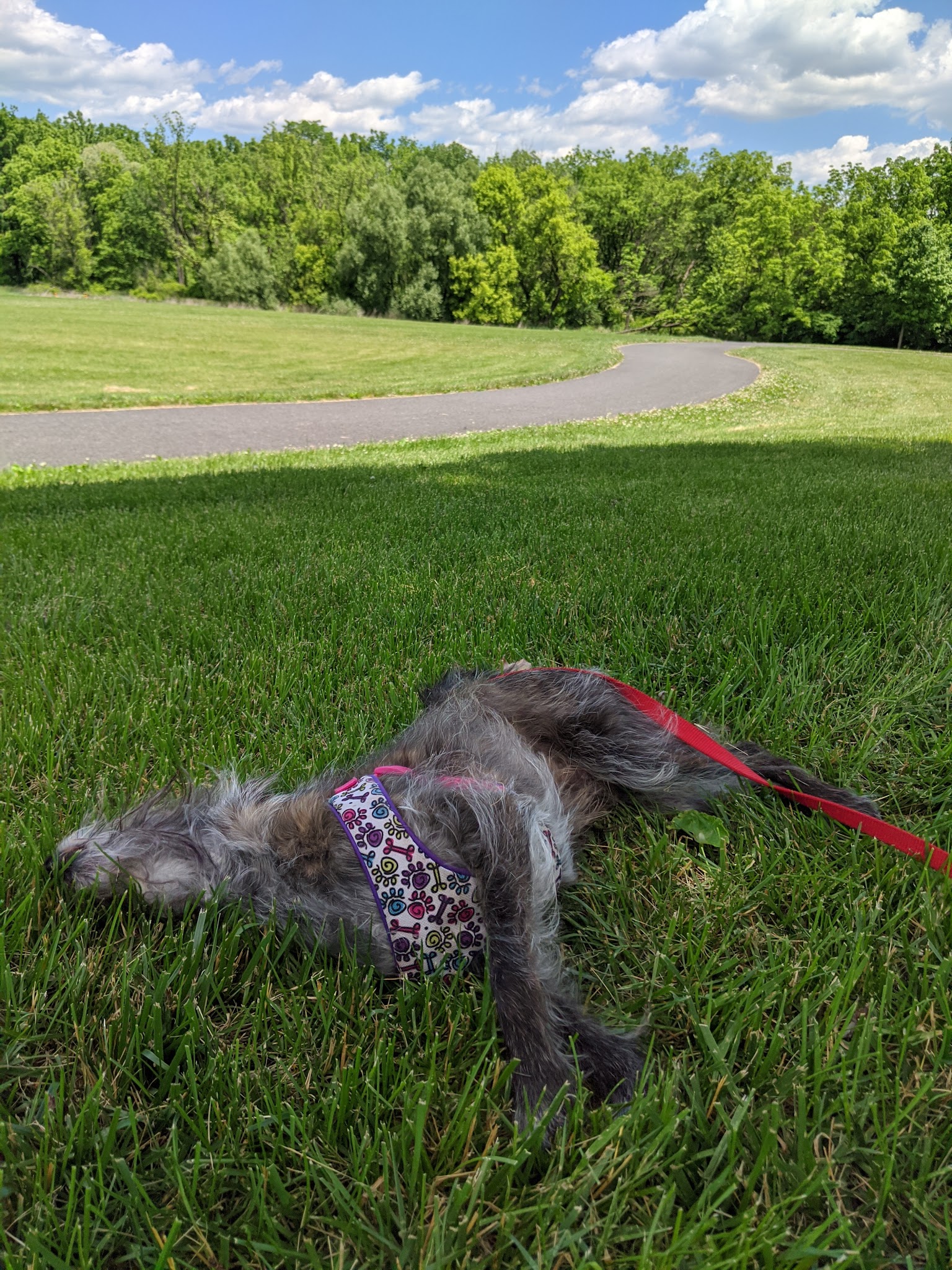 Levans Recreational Park - Allentown, PA