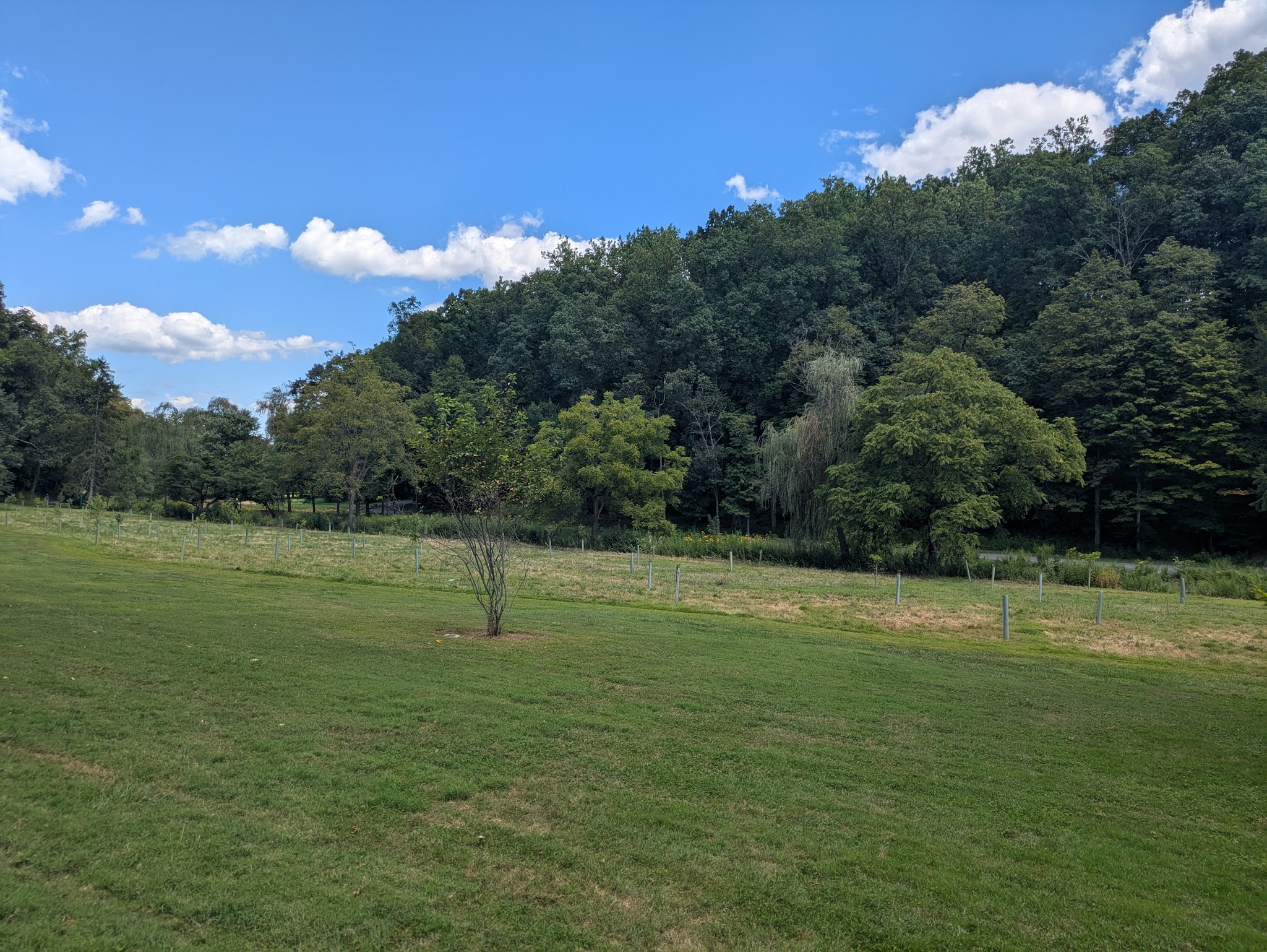 Little Lehigh Park Arboretum - Allentown, PA