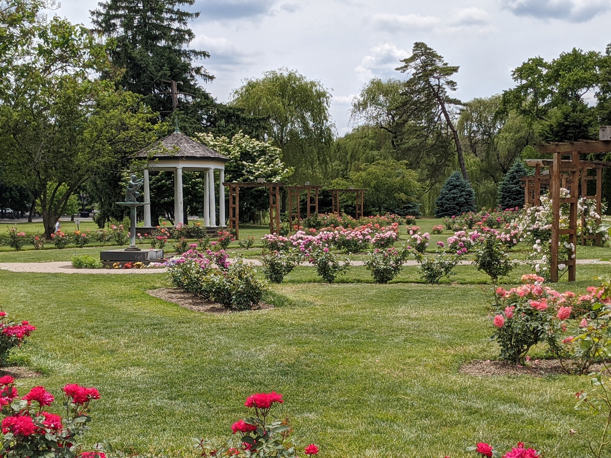 Malcolm Gross Rose Garden - Allentown, PA