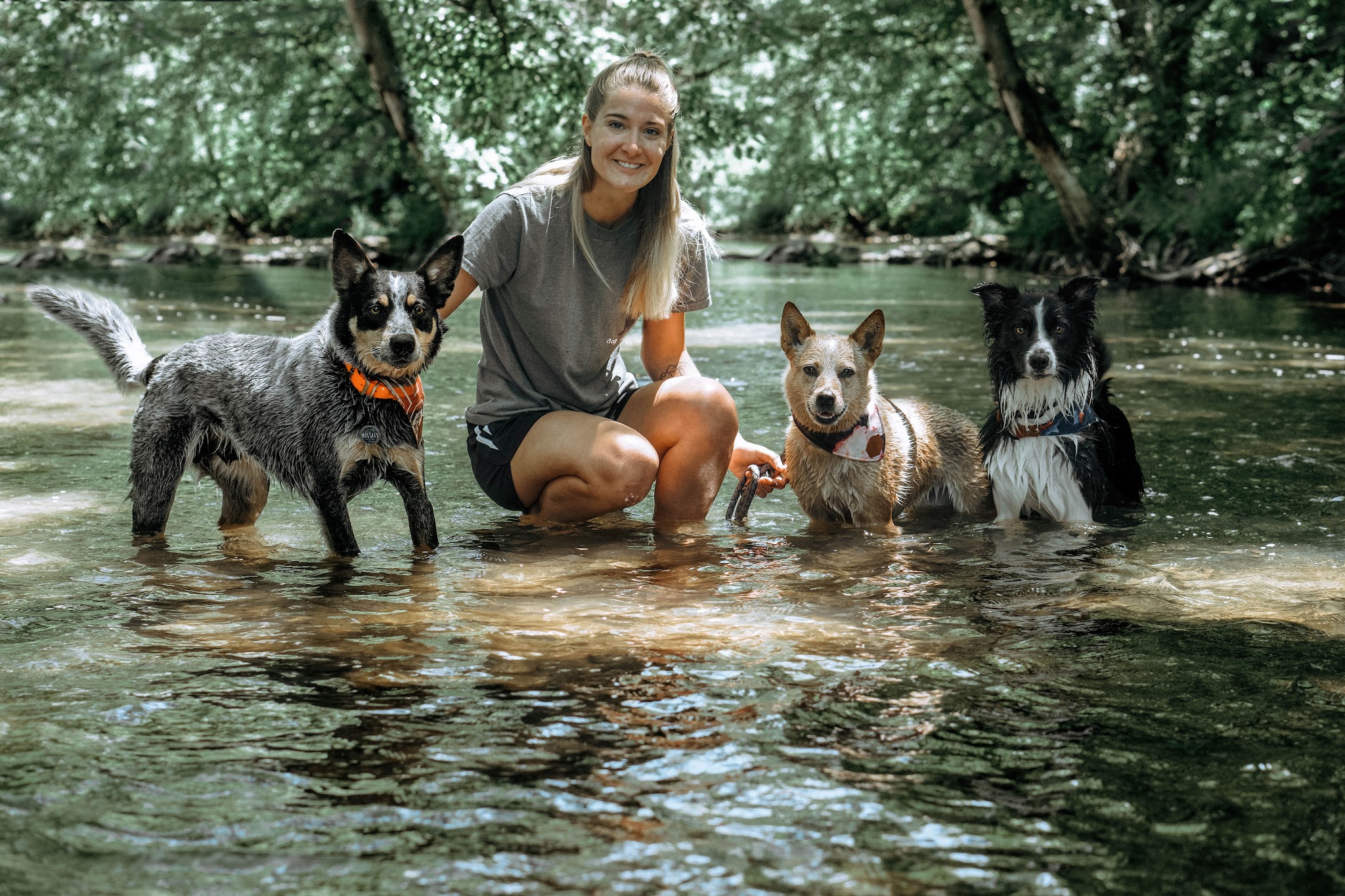 Off Leash K9 Training, Lehigh Valley - Allentown, PA
