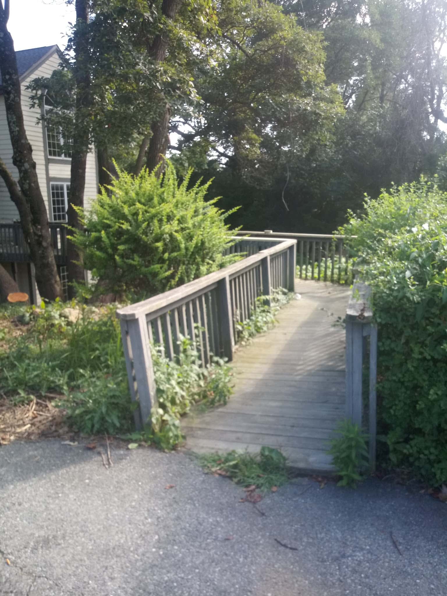Rodale Park - Allentown, PA