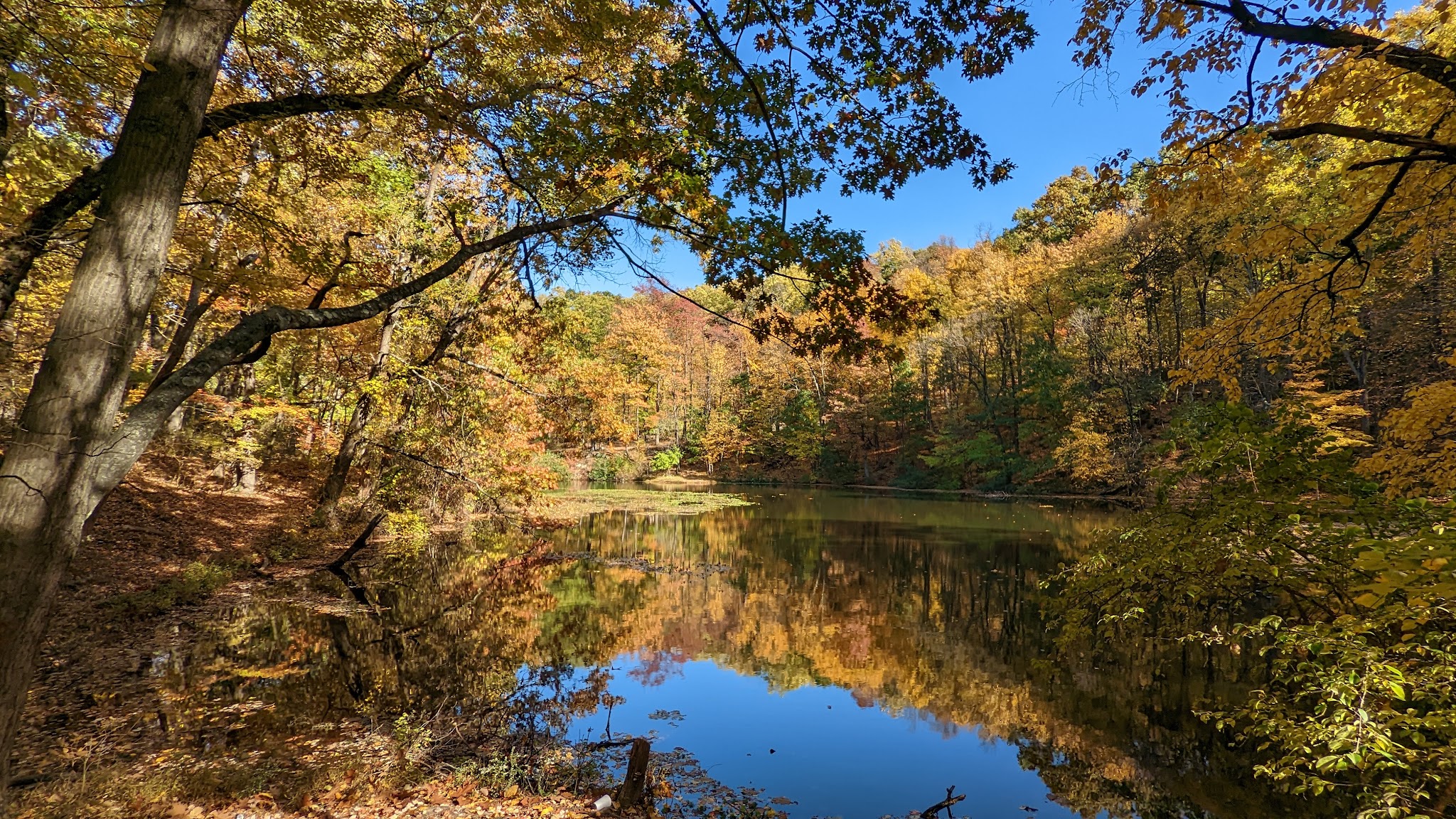 South Mountain Trail - Allentown, PA