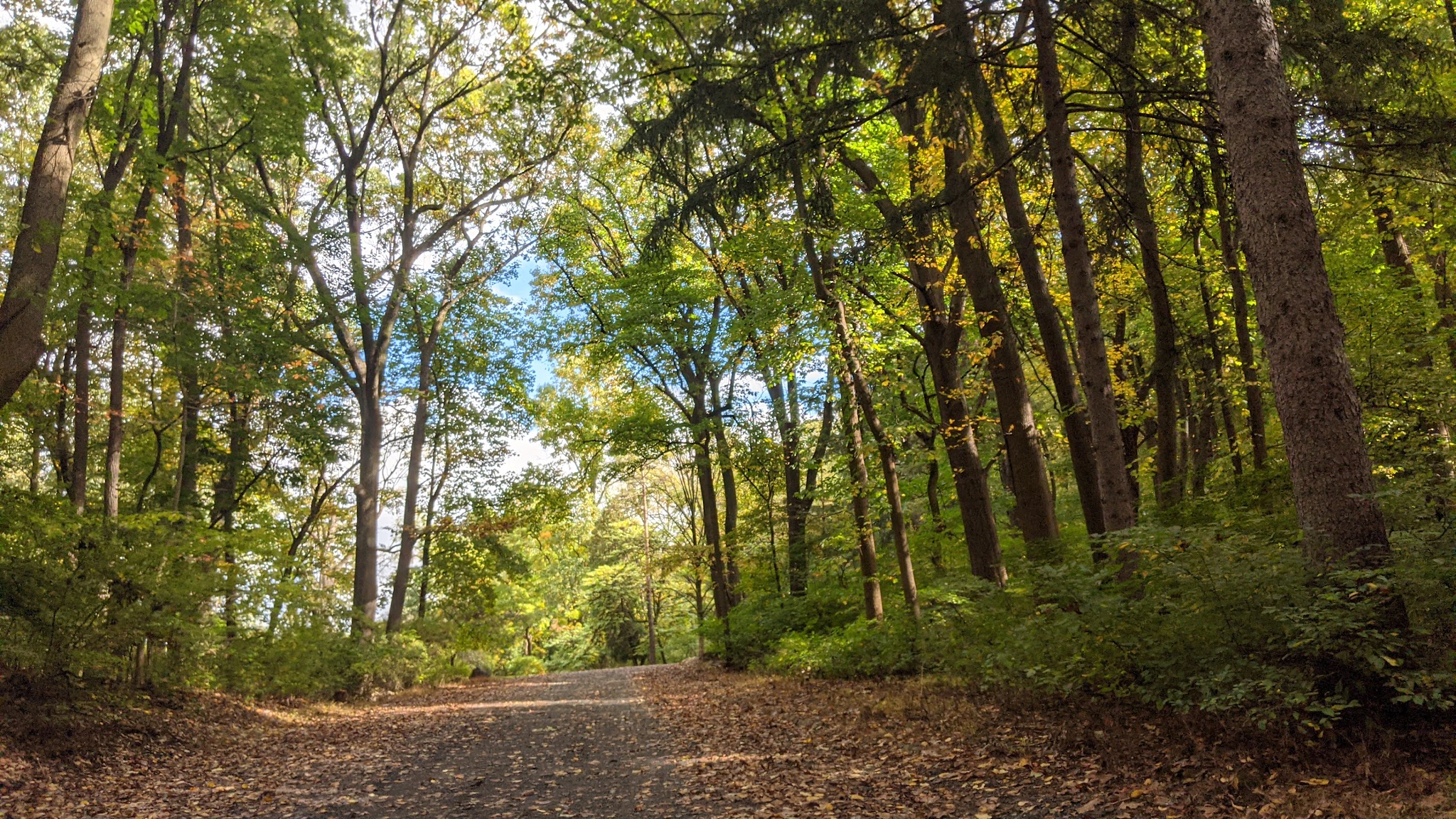South Mountain Trail - Allentown, PA