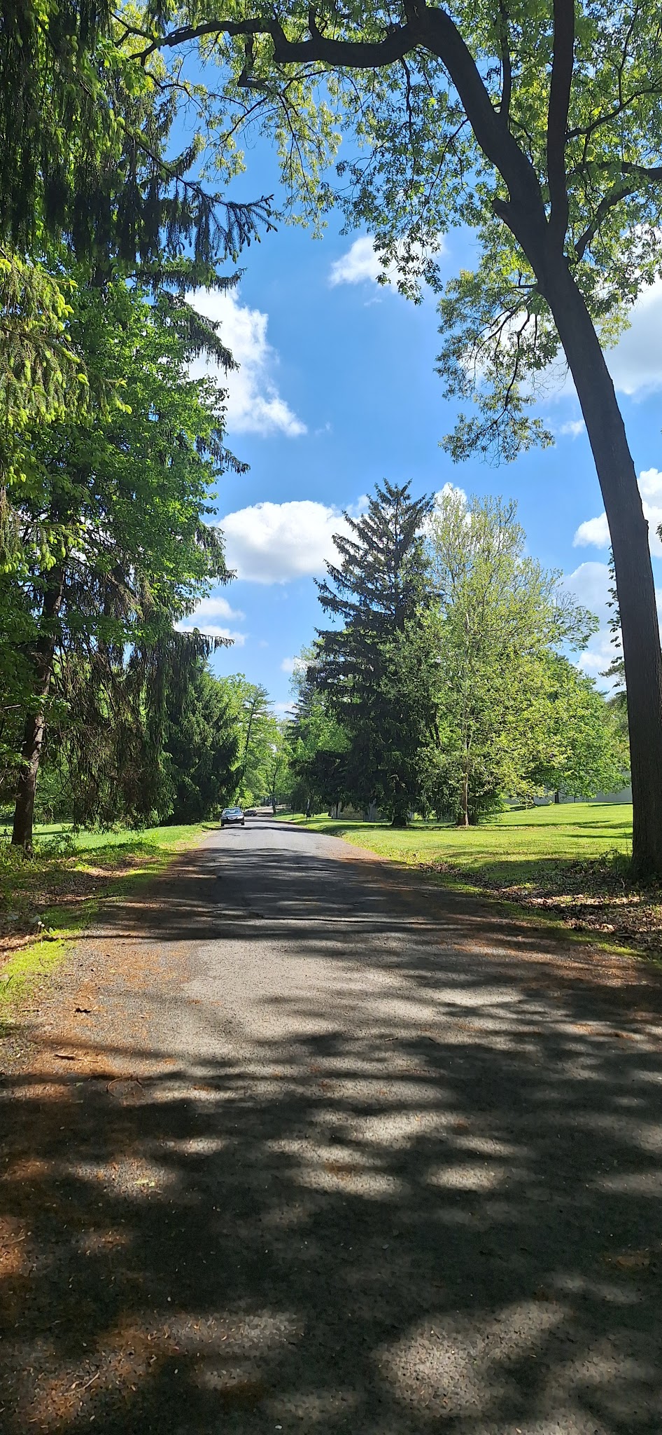 South Mountain Trail - Allentown, PA