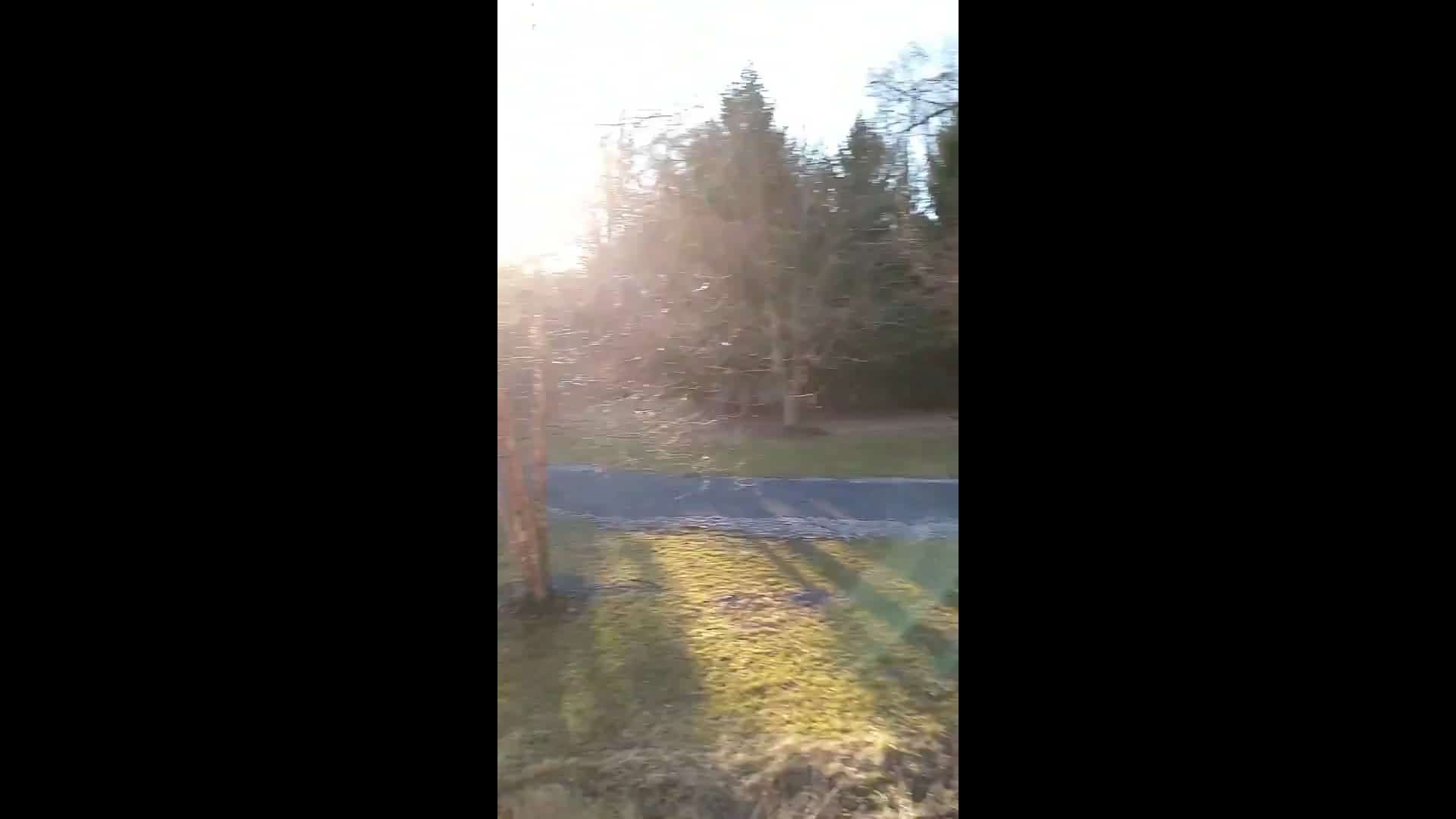 South Mountain Trail - Allentown, PA