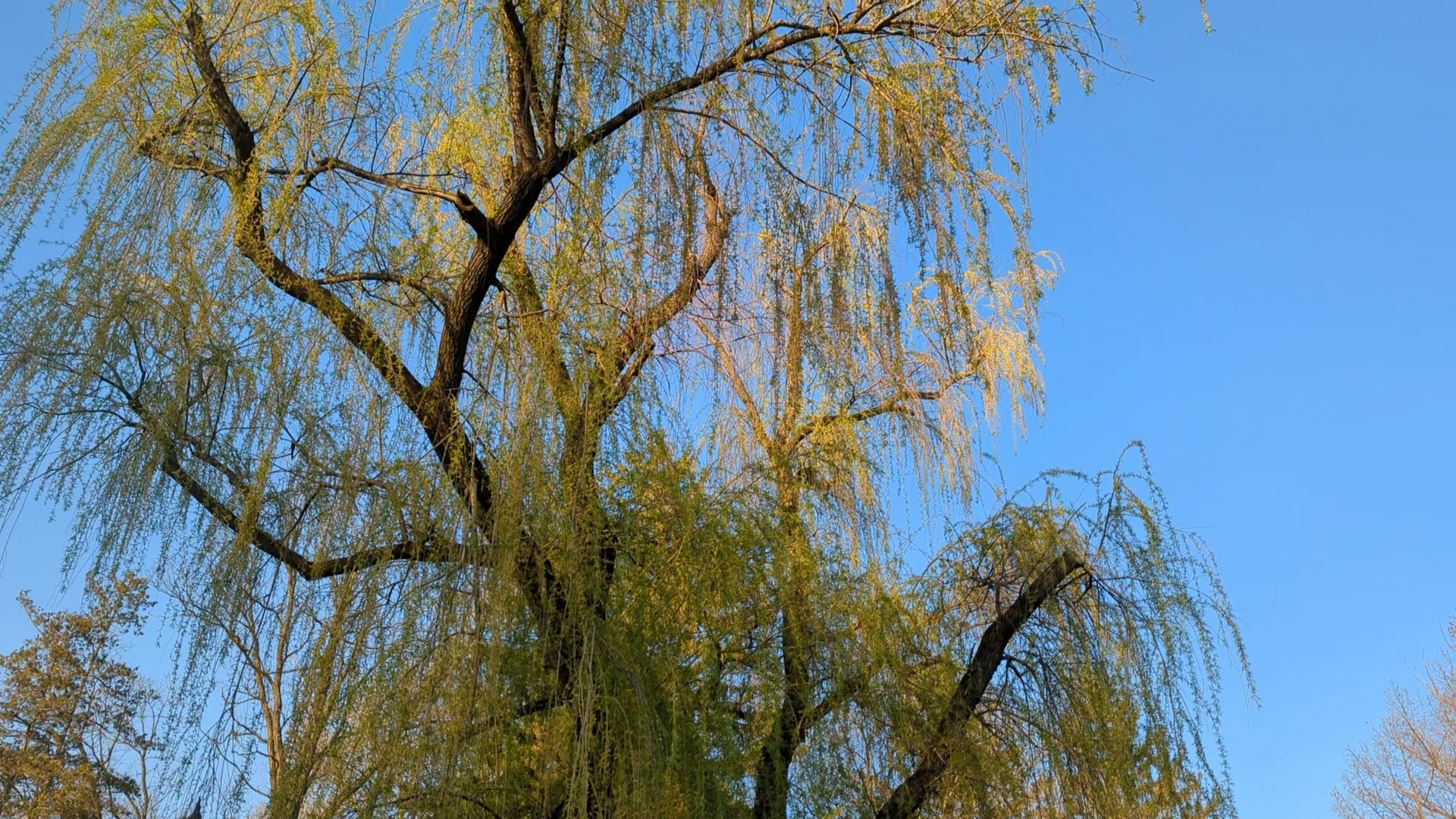 Trexler Memorial Park - Allentown, PA