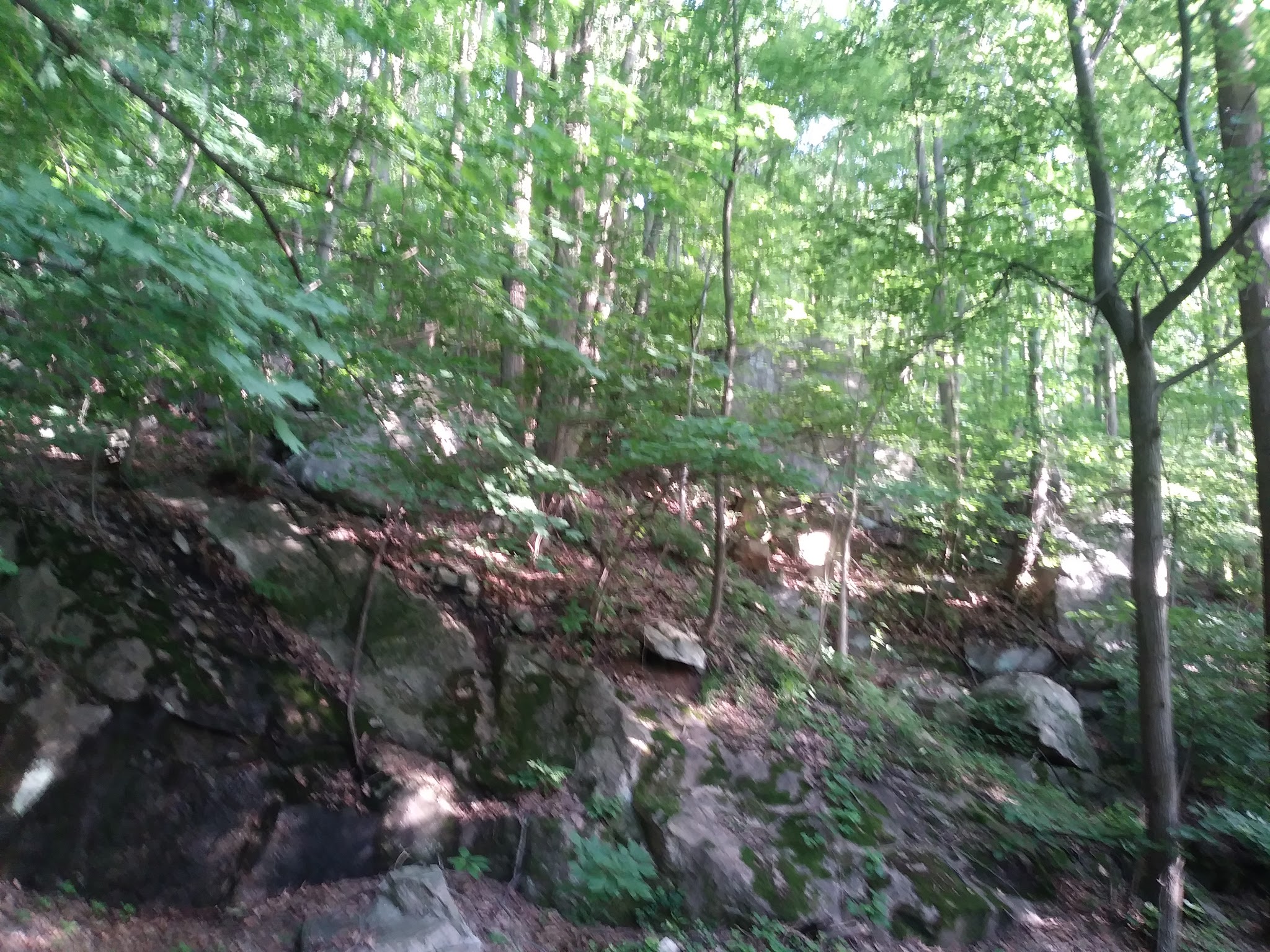 Walking Purchase Park - Allentown, PA