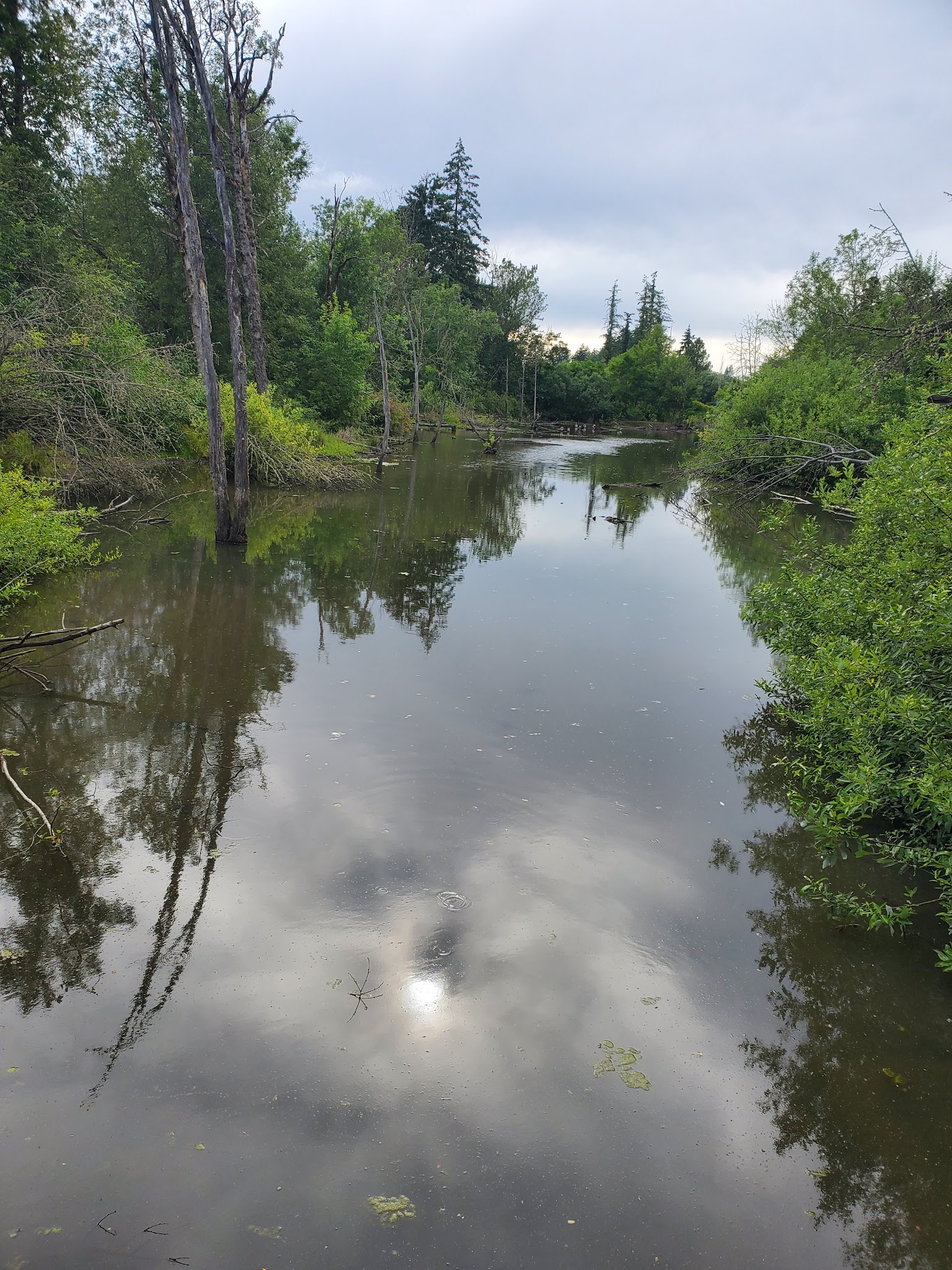 Butternut Park - Aloha, OR