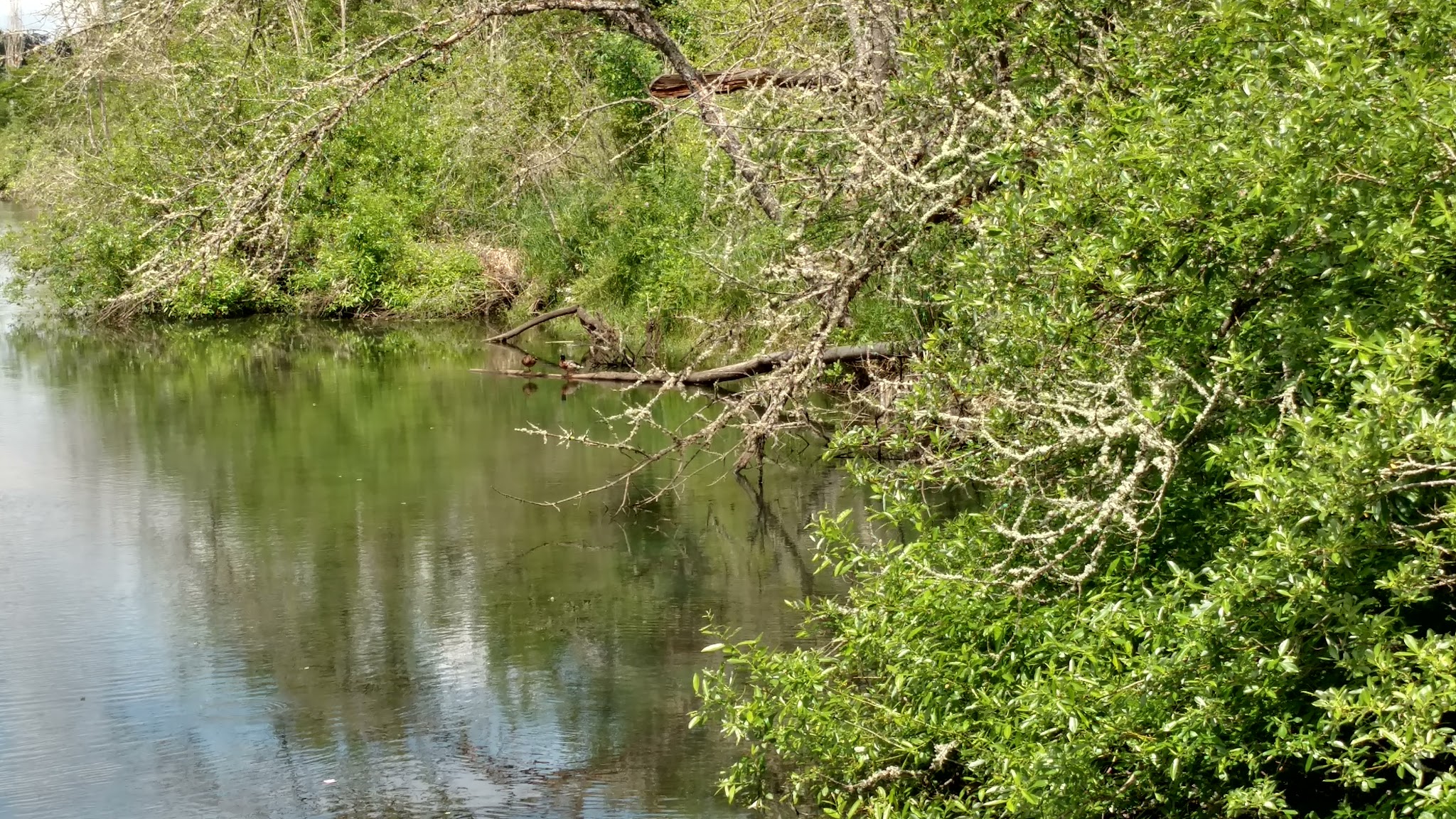 Butternut Park - Aloha, OR