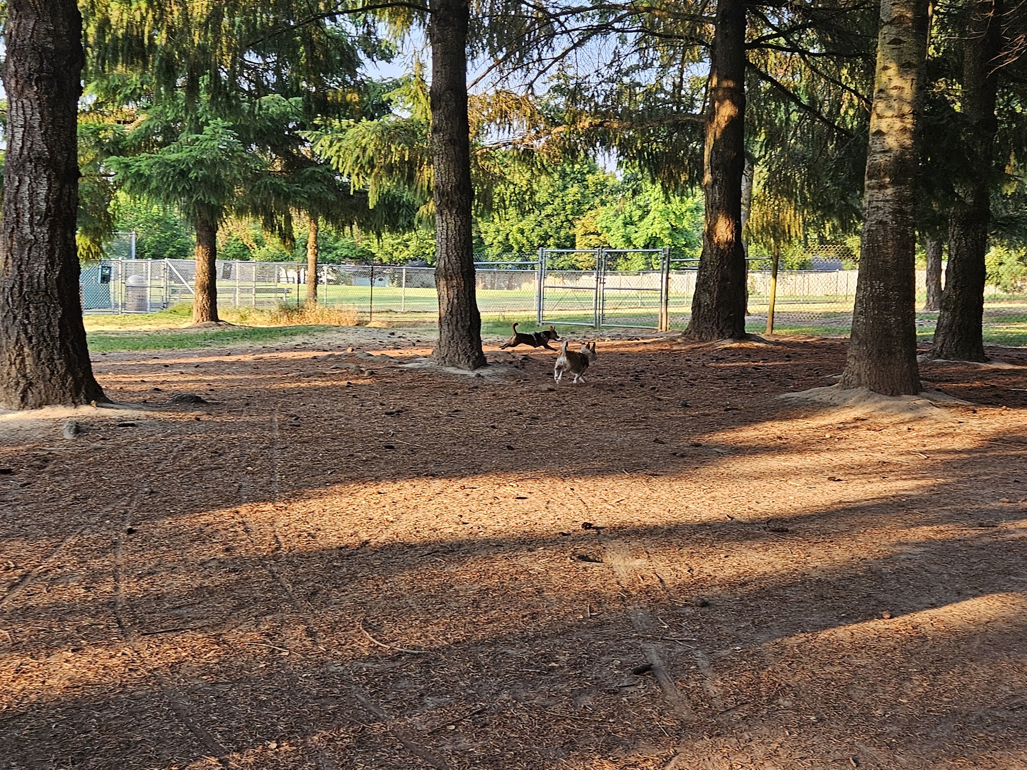 Hazeldale Park - Aloha, OR