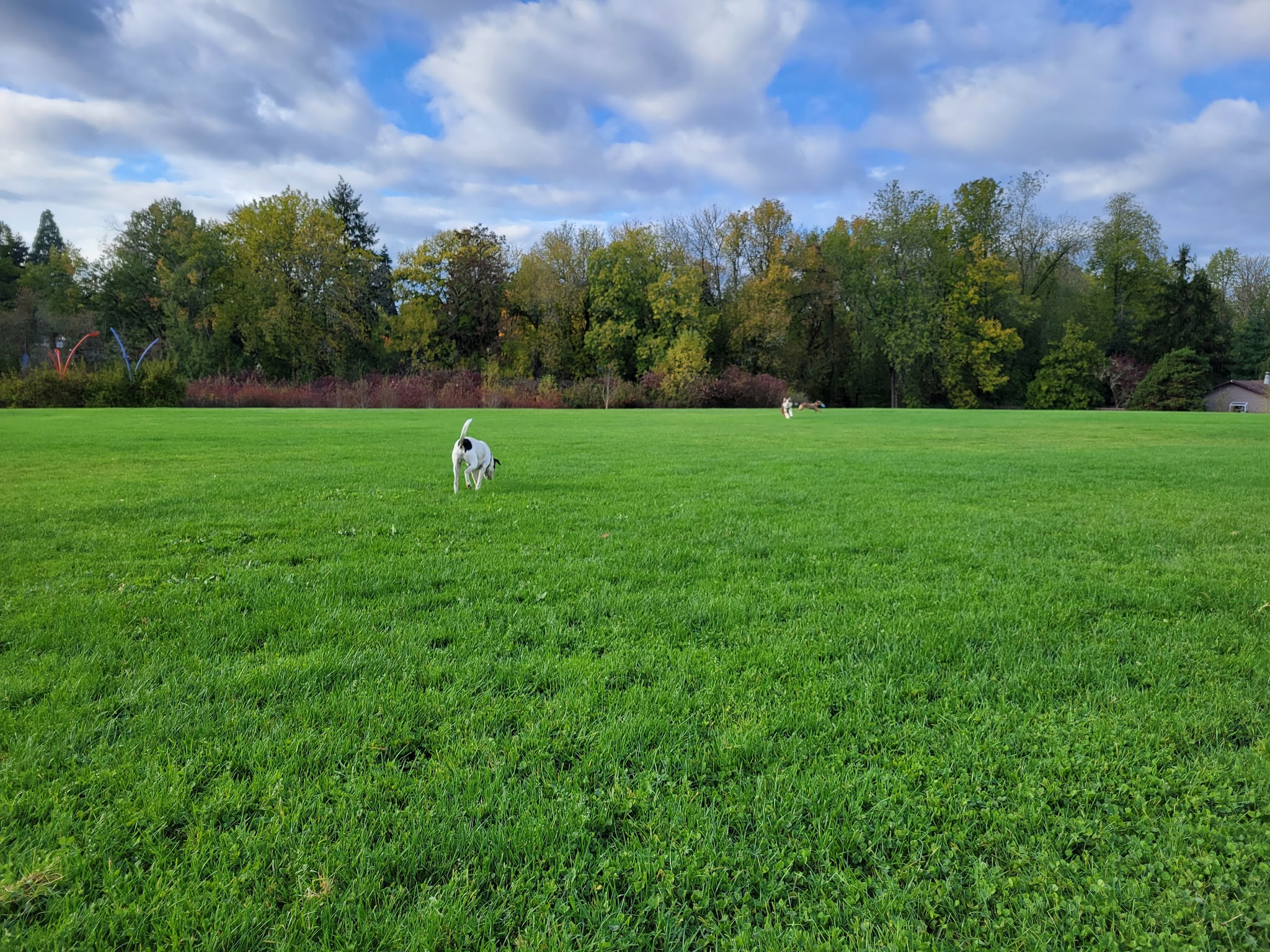 Hazeldale Park - Aloha, OR