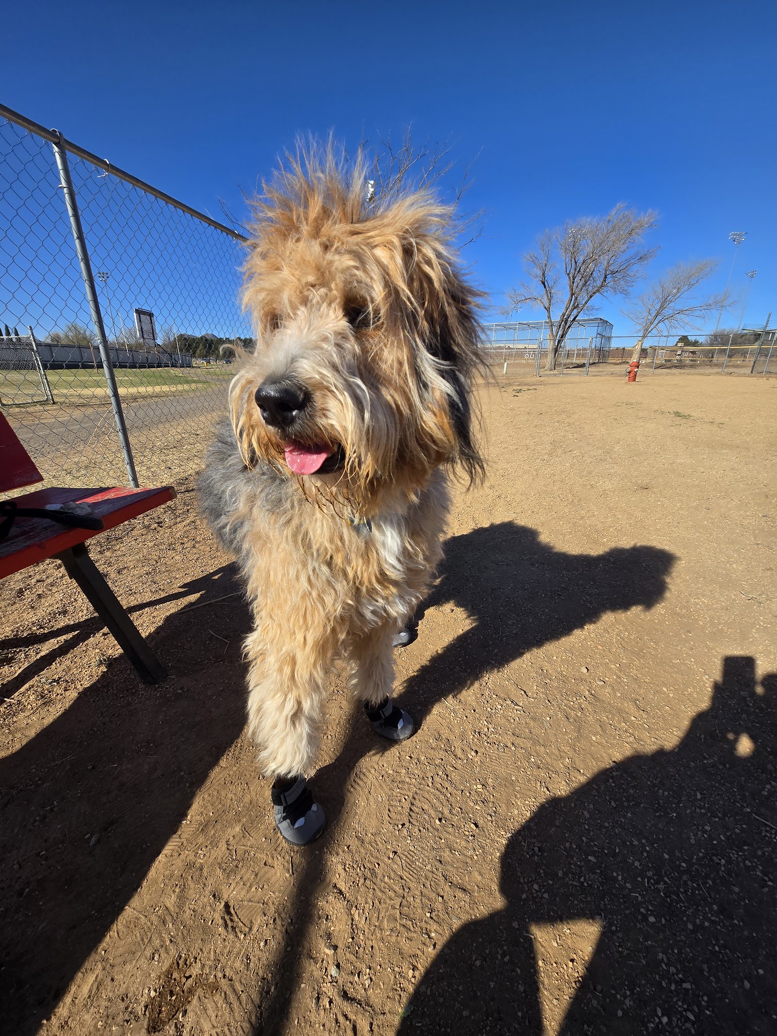 Alpine Dog Park - Alpine, TX