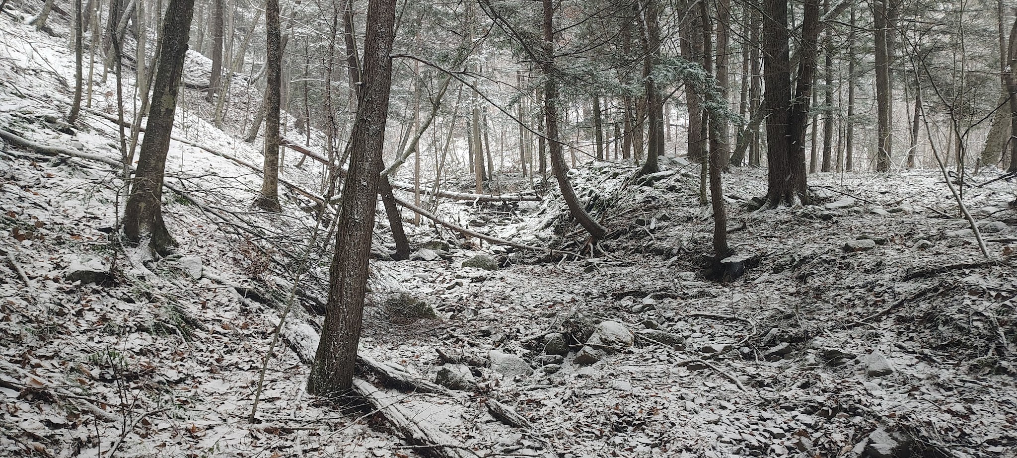Bozenkill Park - Altamont, NY