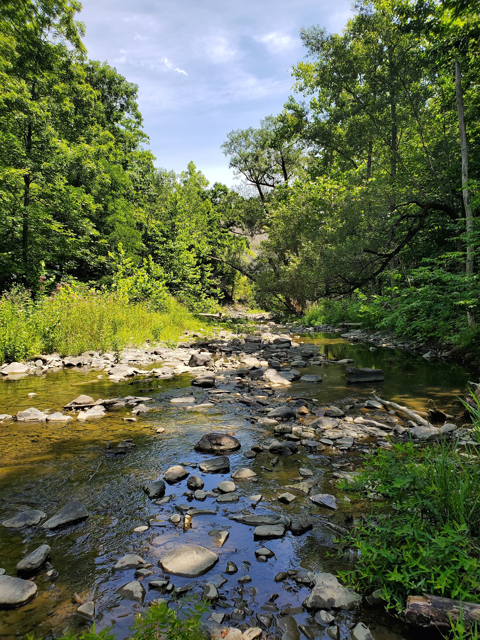 Bozenkill Park - Altamont, NY