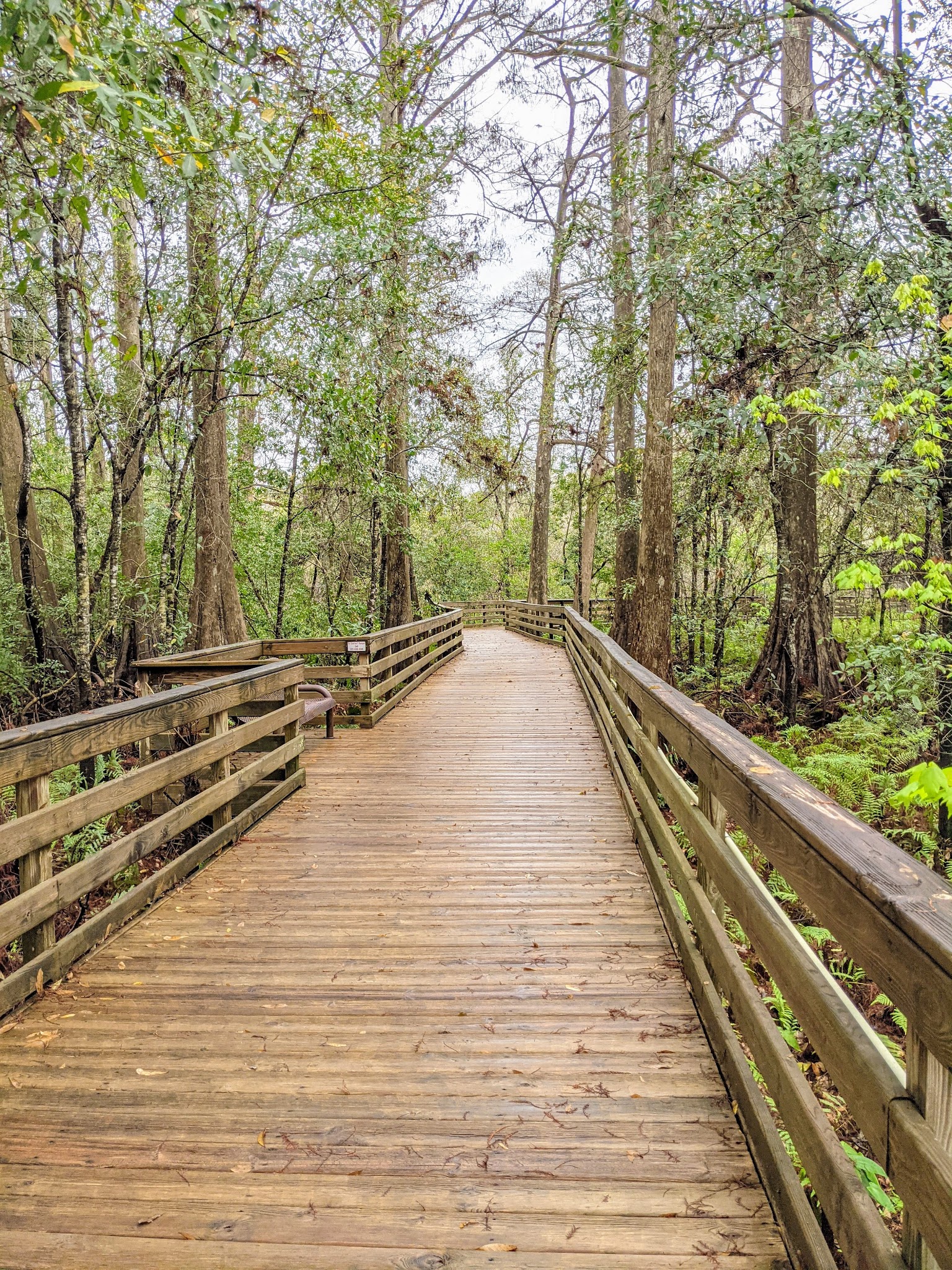 Lake Lotus Park - Altamonte Springs, FL
