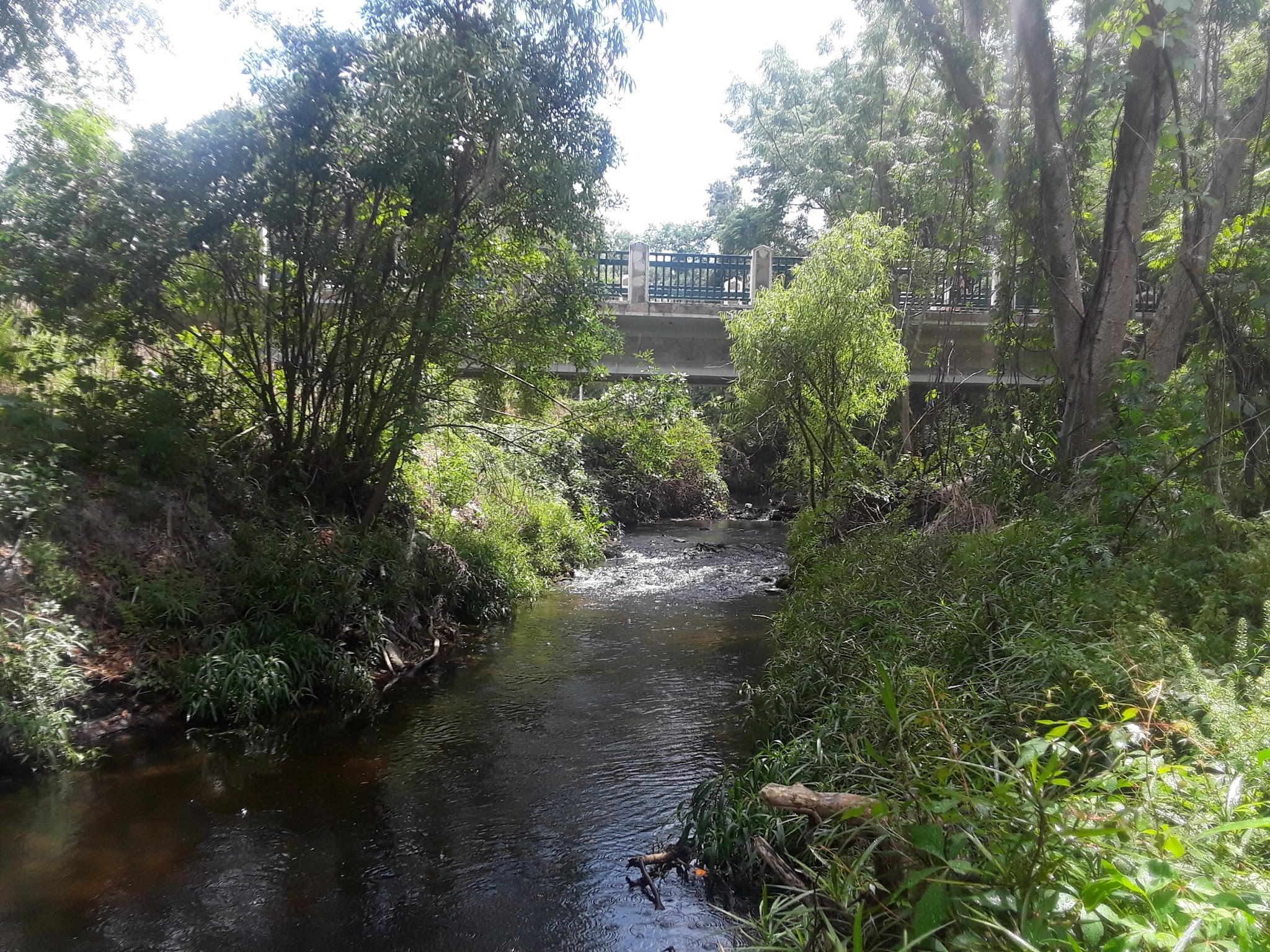 Seminole Wekiva Trail - San Sebastian Trailhead - Altamonte Springs, FL