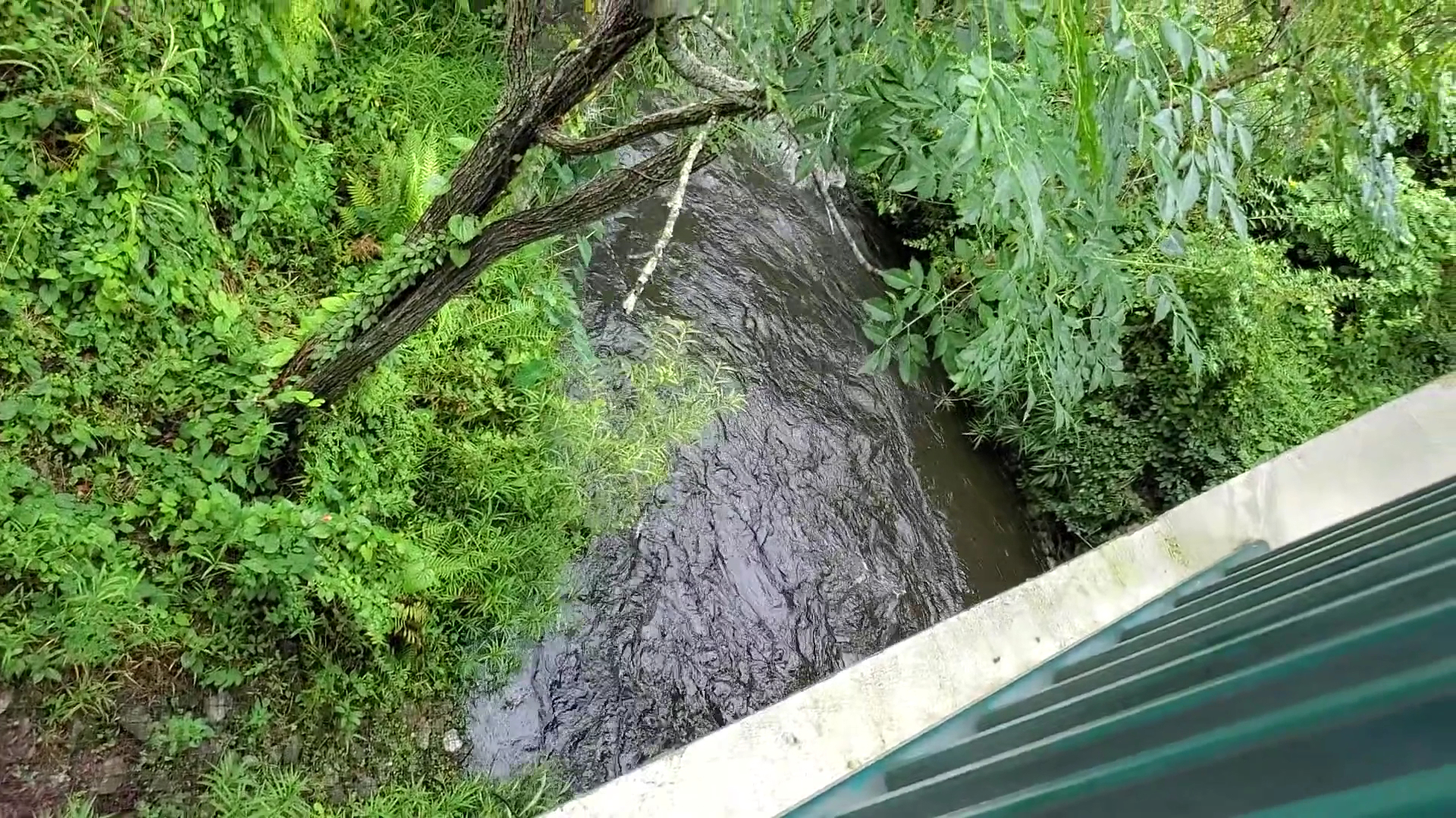 Seminole Wekiva Trail - San Sebastian Trailhead - Altamonte Springs, FL