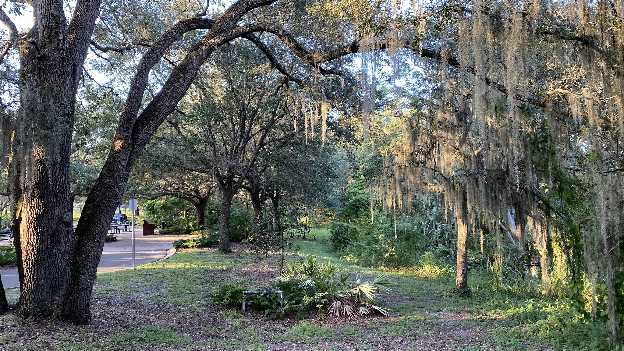 Seminole Wekiva Trail - San Sebastian Trailhead - Altamonte Springs, FL