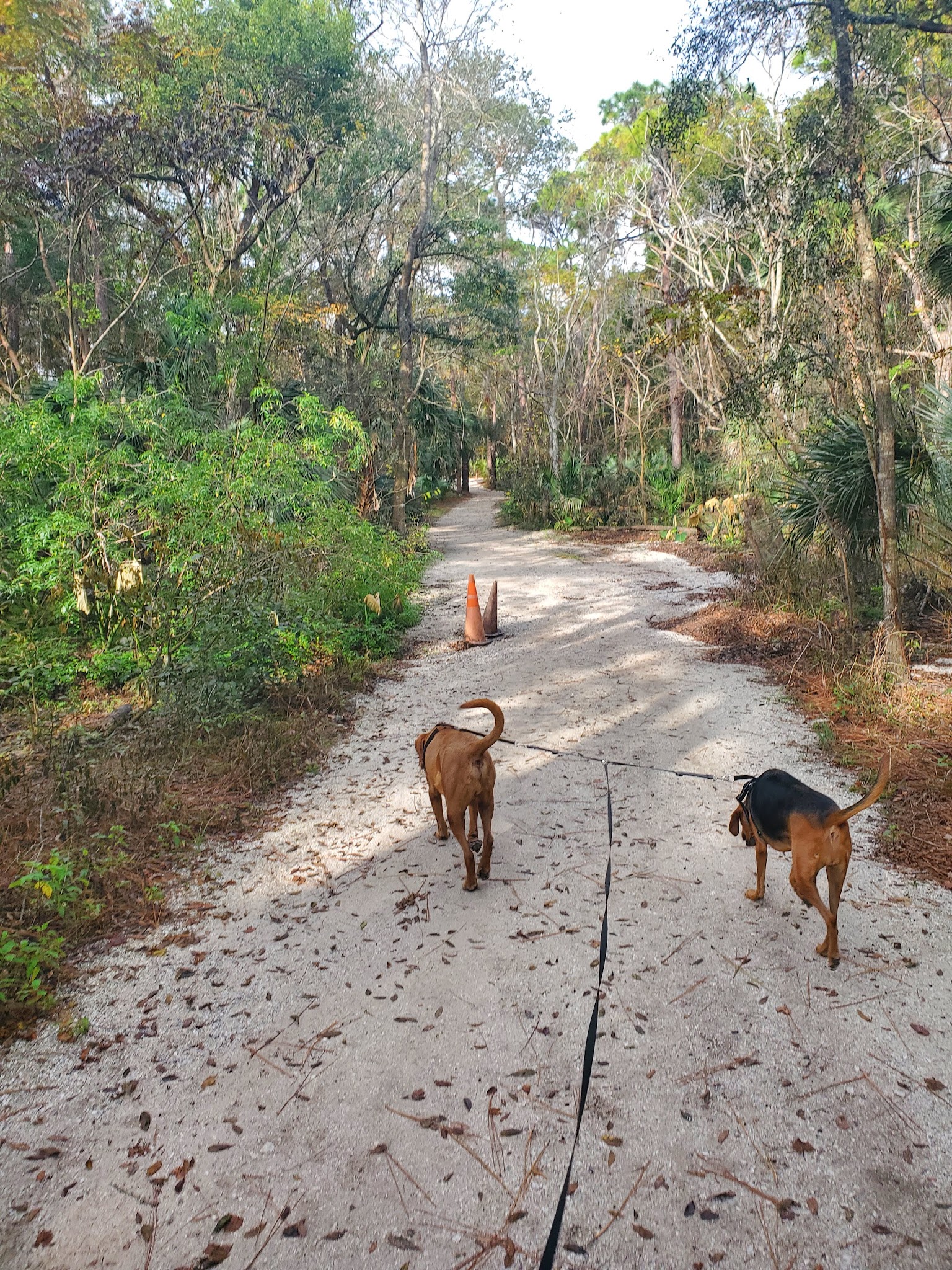 Seminole Wekiva Trail - Seminole County Softball Complex - Altamonte Springs, FL