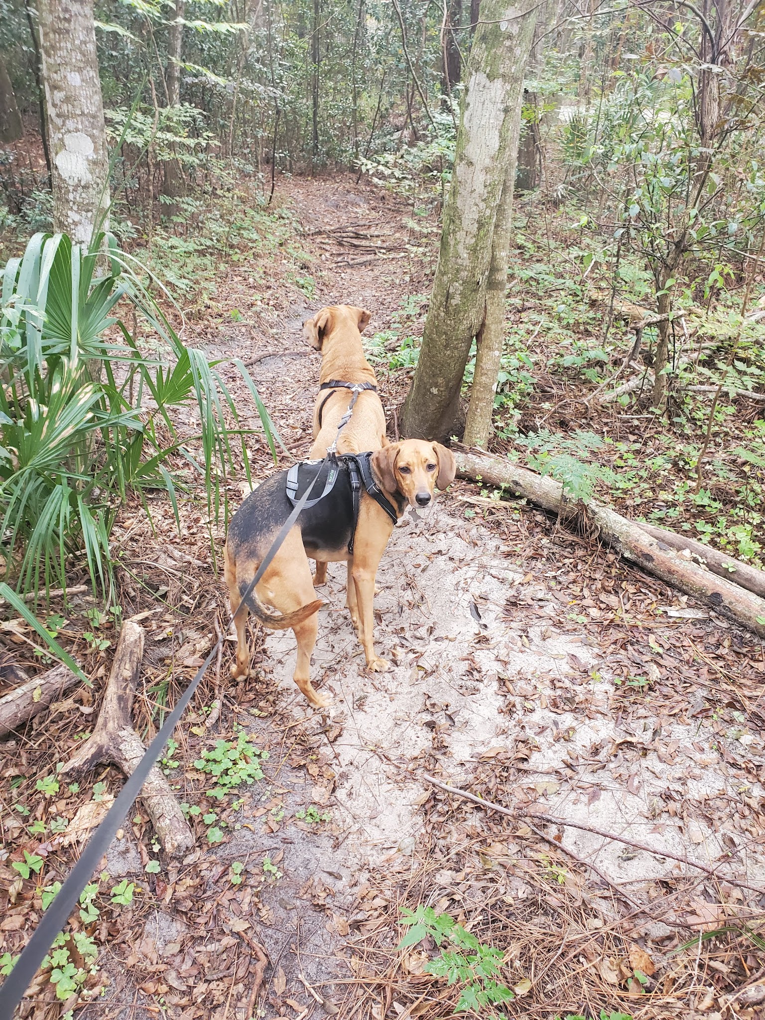 Seminole Wekiva Trail - Seminole County Softball Complex - Altamonte Springs, FL