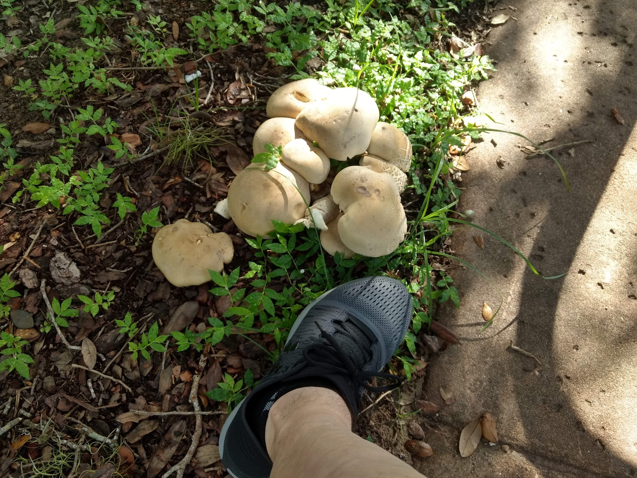 Seminole Wekiva Trail - Seminole County Softball Complex - Altamonte Springs, FL