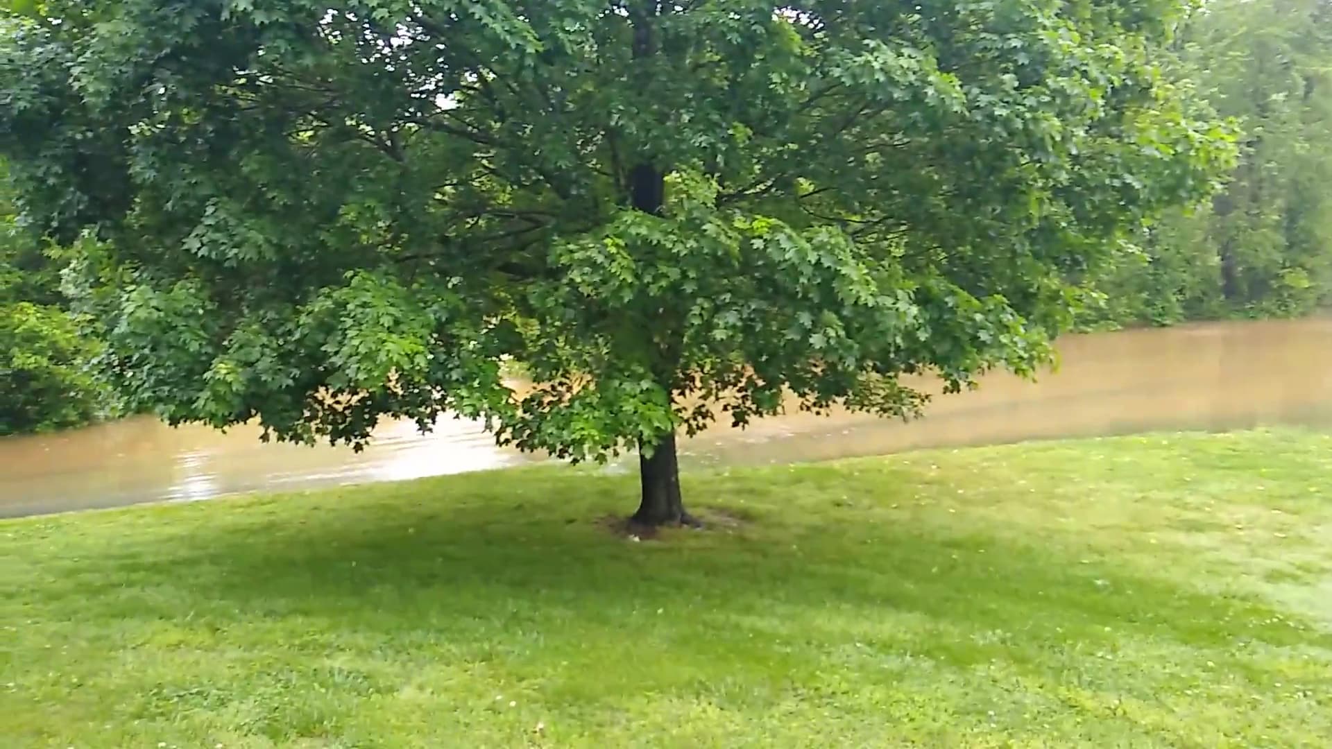 English Park - Altavista, VA