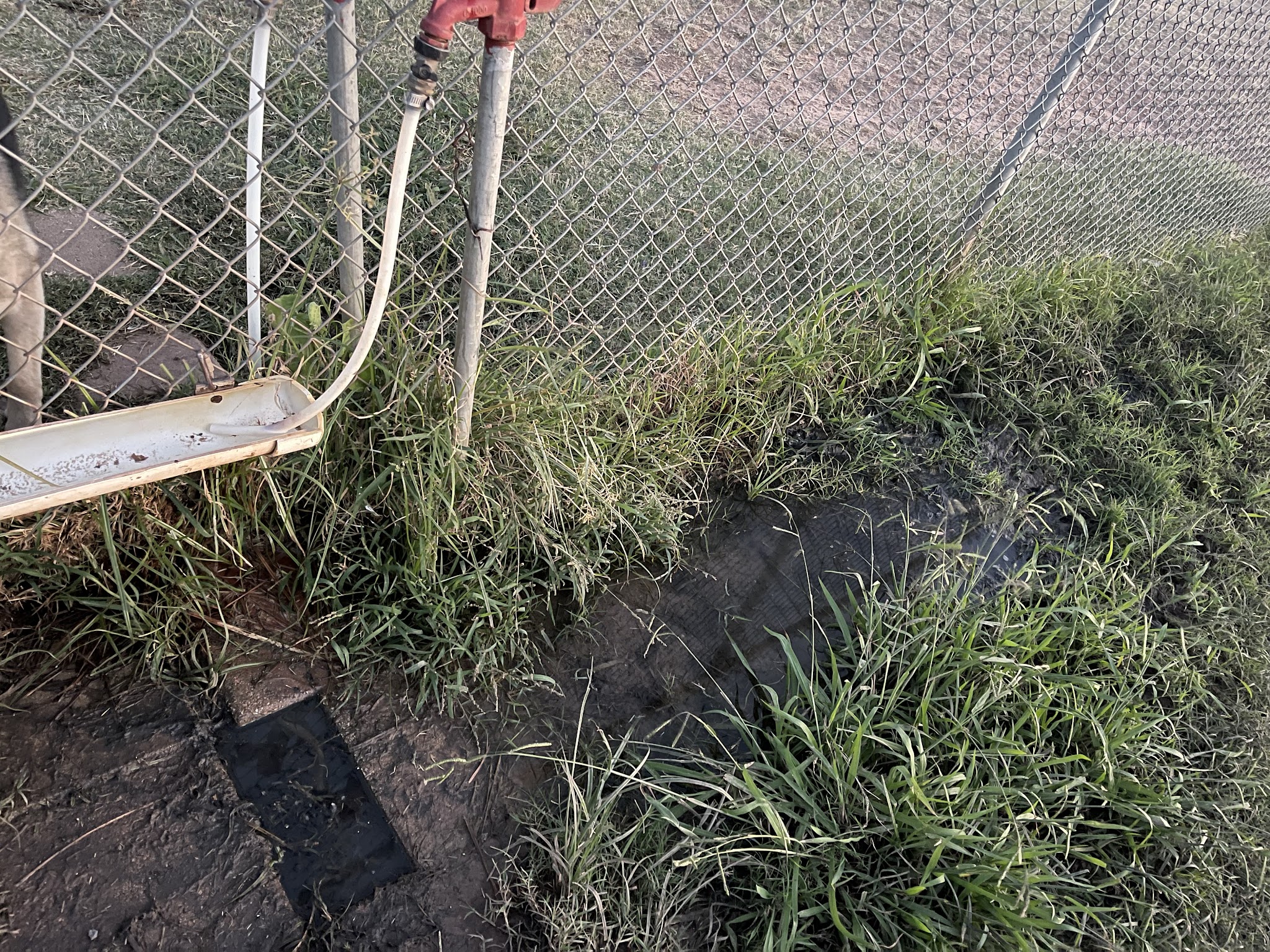 Altus Dog Park - Altus, OK