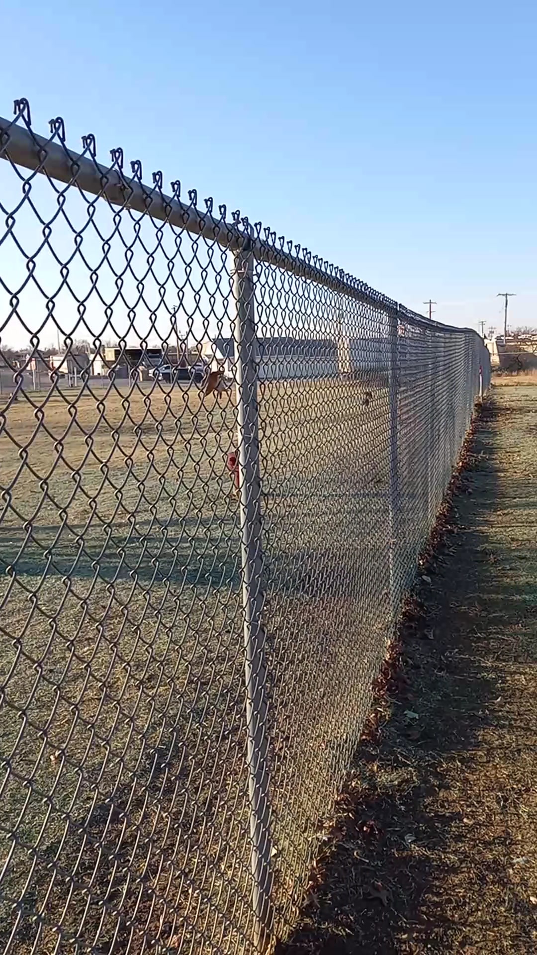 Altus Dog Park - Altus, OK