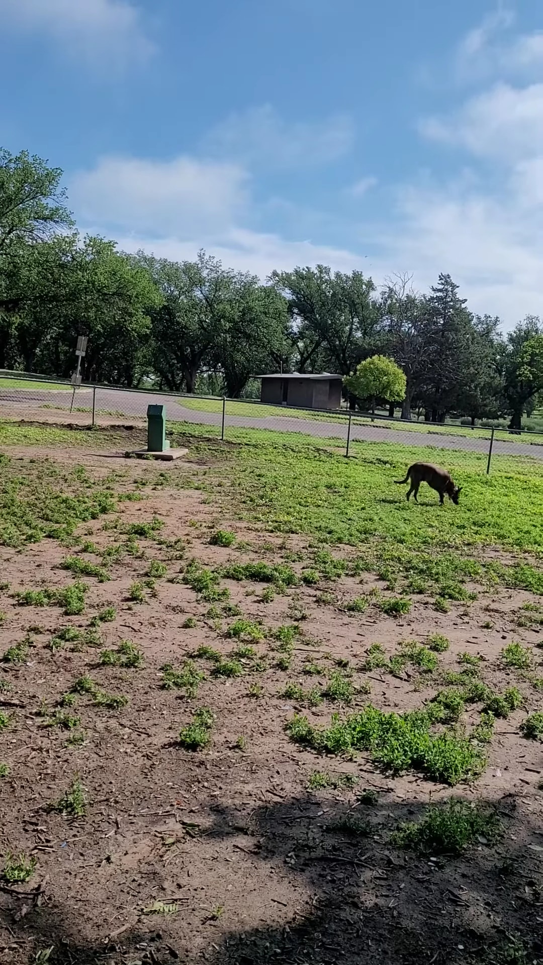 Thompson Dog Park - Amarillo, TX